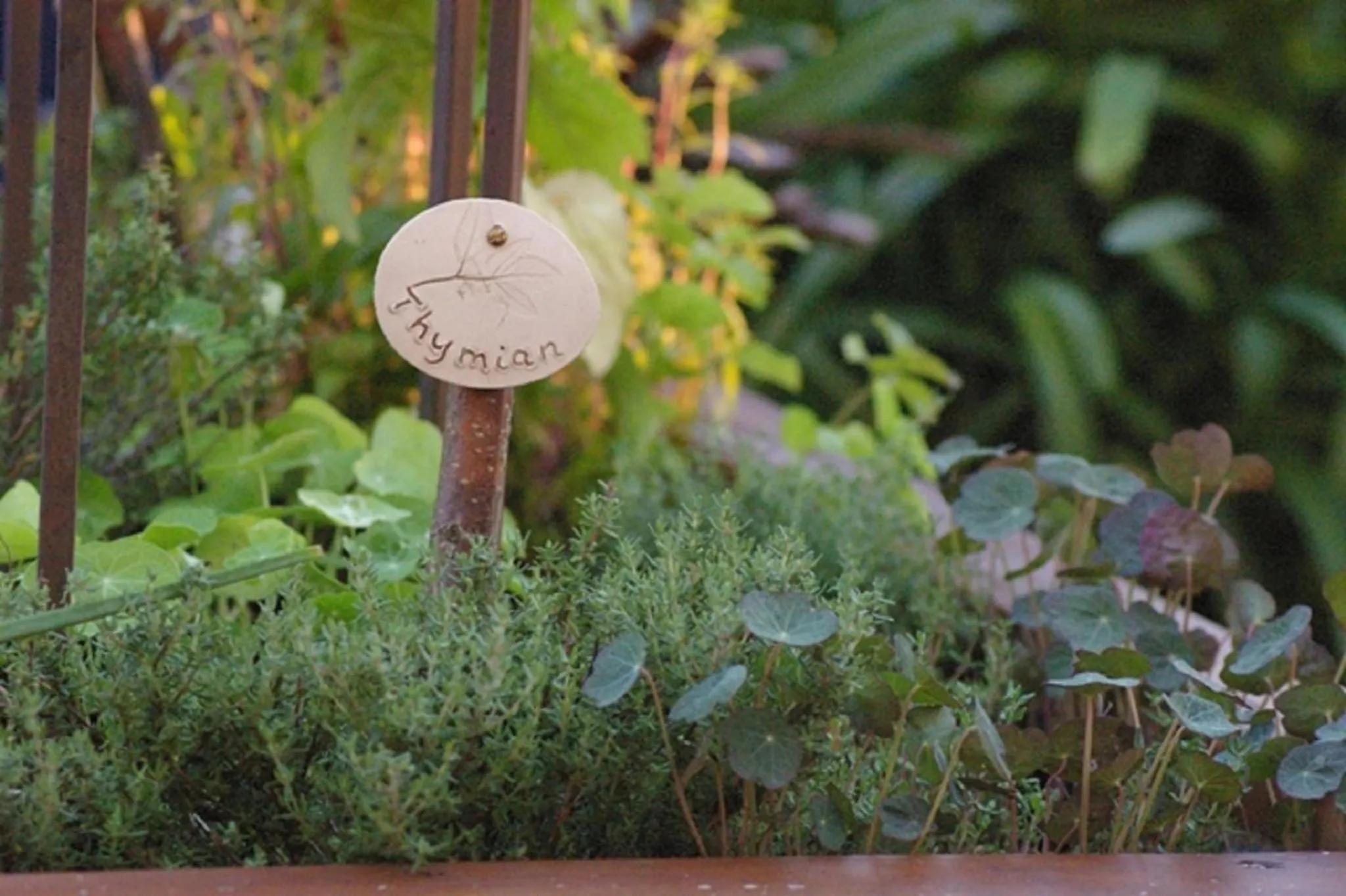 Garden in Hotel & Restaurant Bergschlösschen