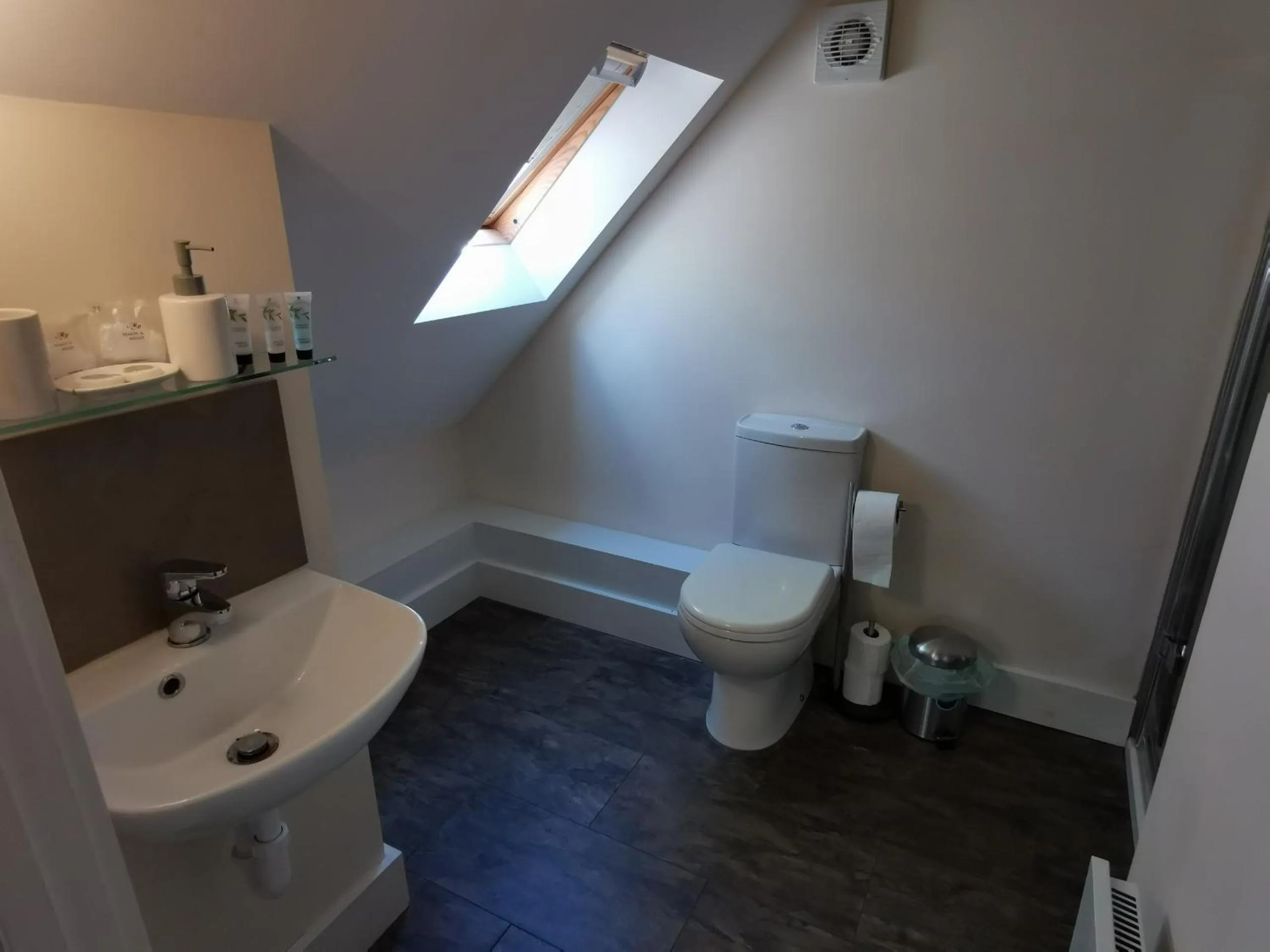 Toilet in The Ibex Inn