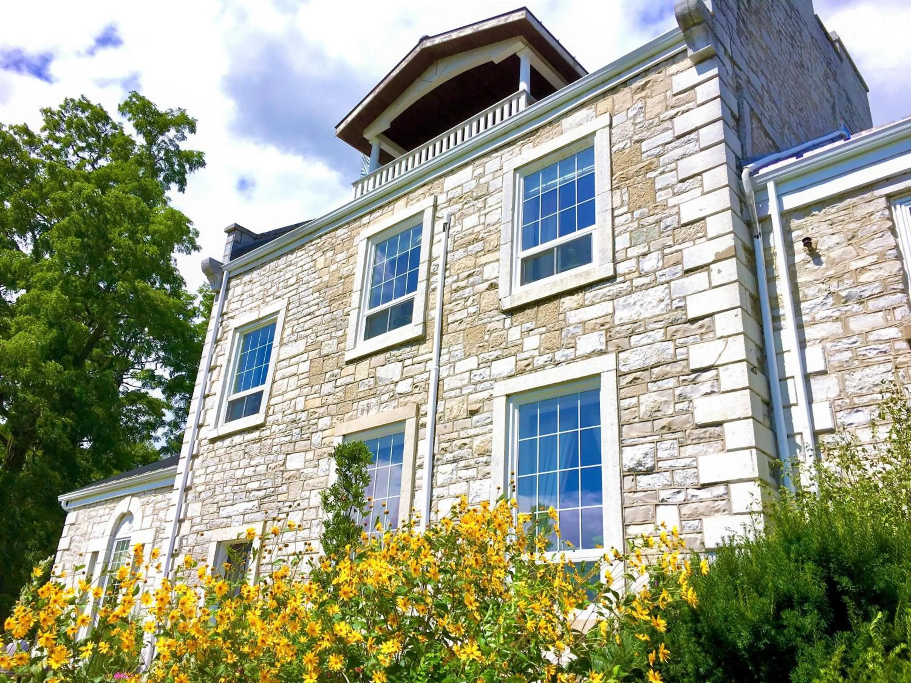 Property building in All Suites Whitney Manor