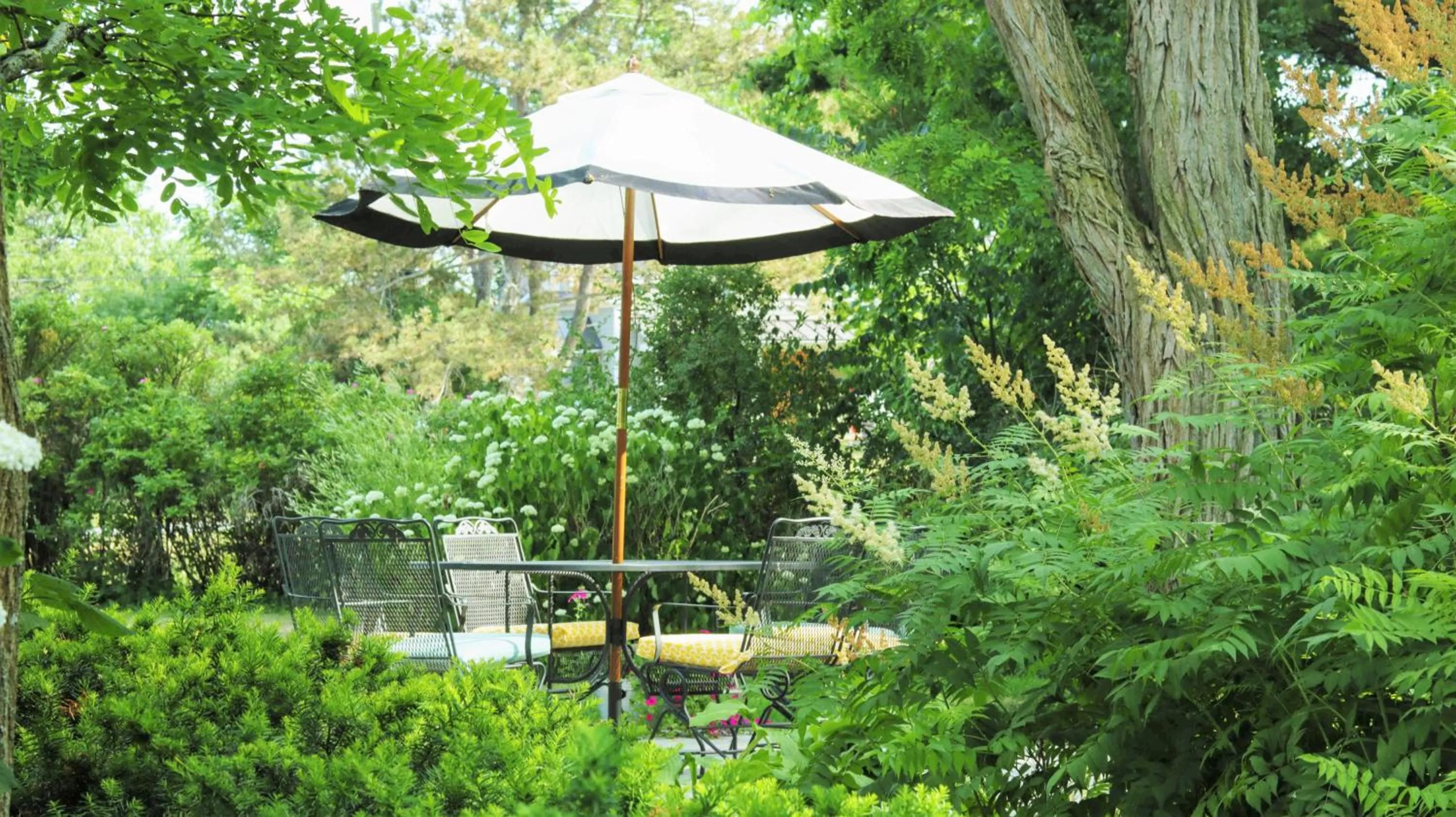 Balcony/Terrace in All Suites Whitney Manor