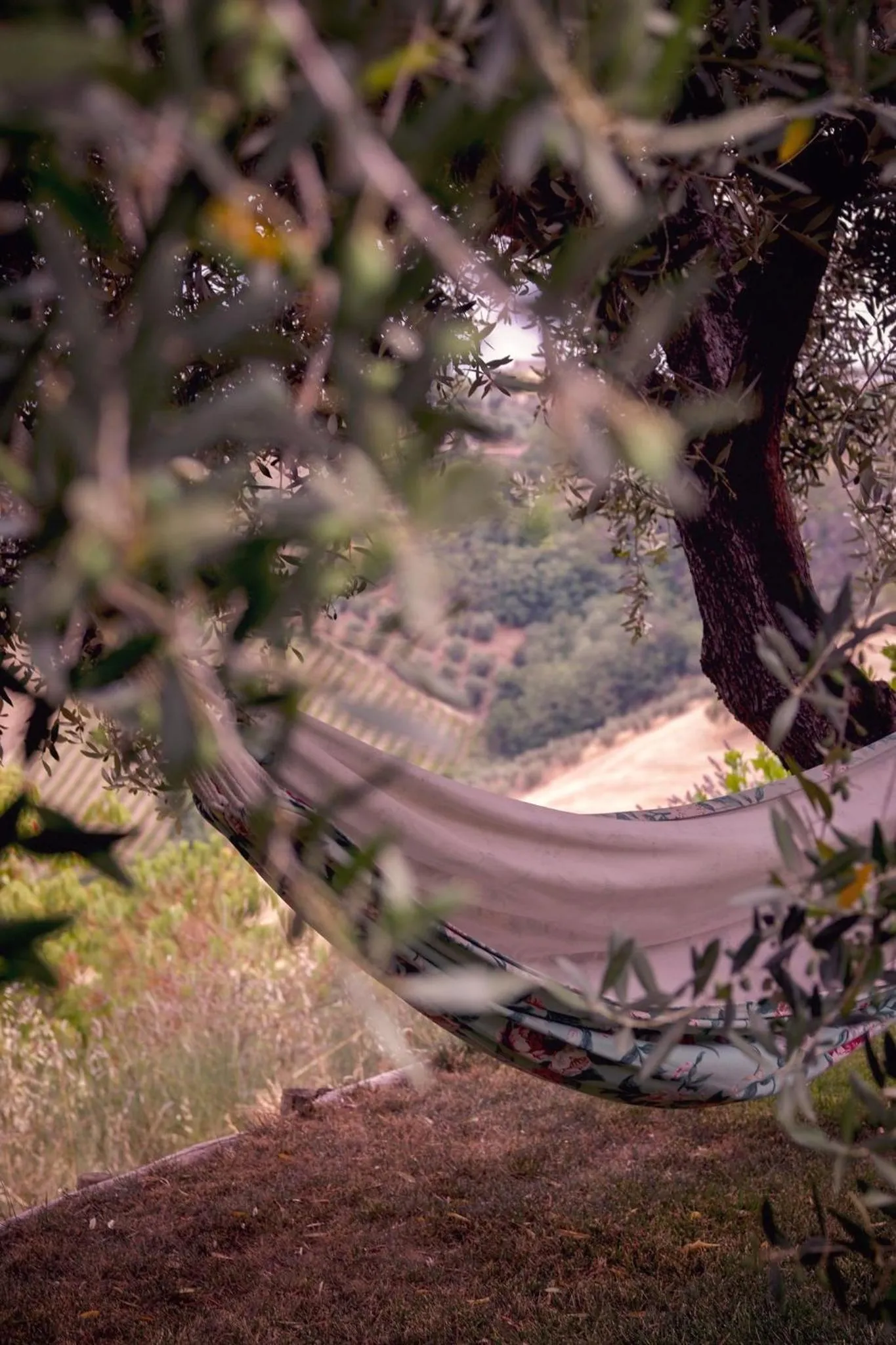 Garden in La mia Casa nelle Marche