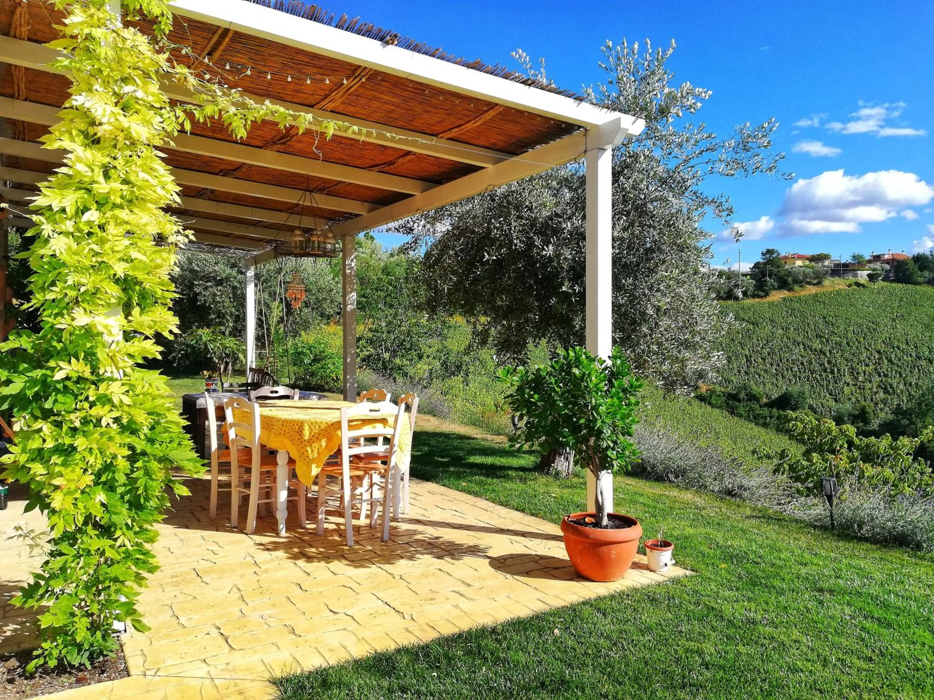 Garden in La mia Casa nelle Marche