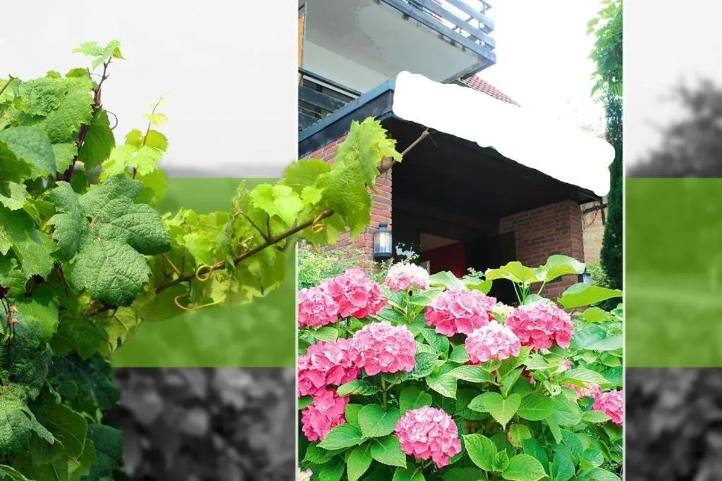 Property building in Hotel Bad Dürkheim