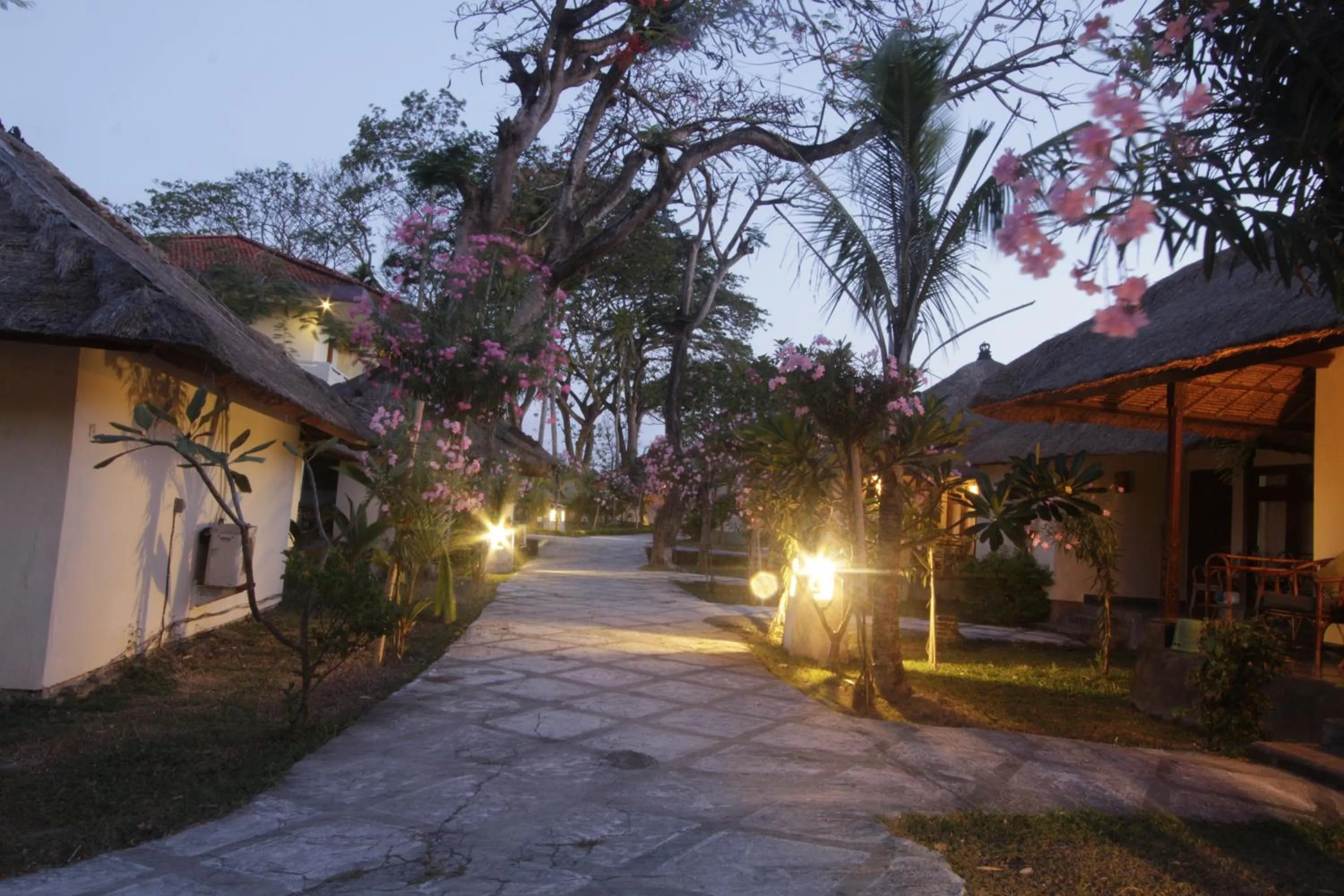 Garden in Alit Beach Resort and Villas