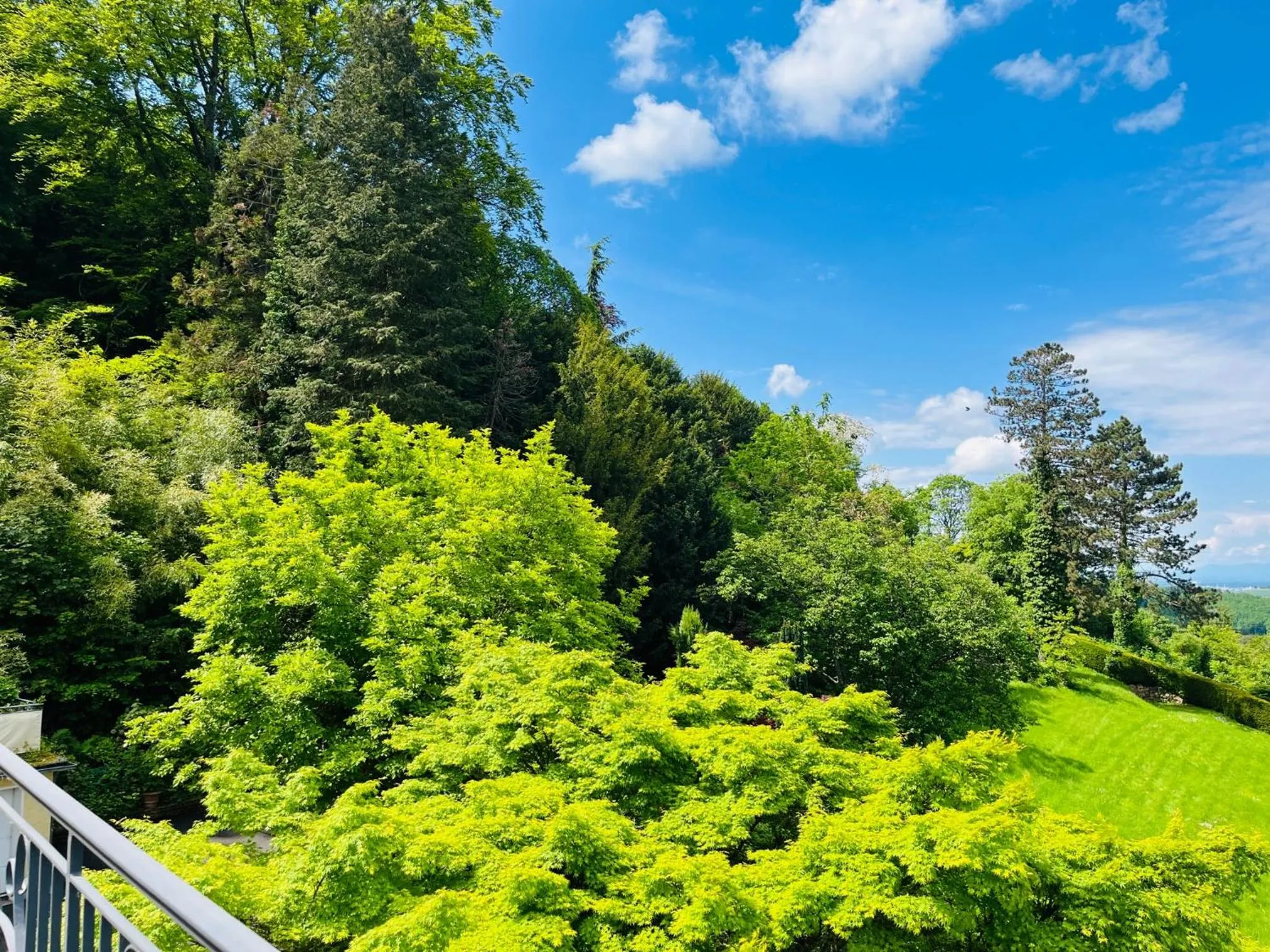 Balcony/Terrace in Hotel Schlossberg