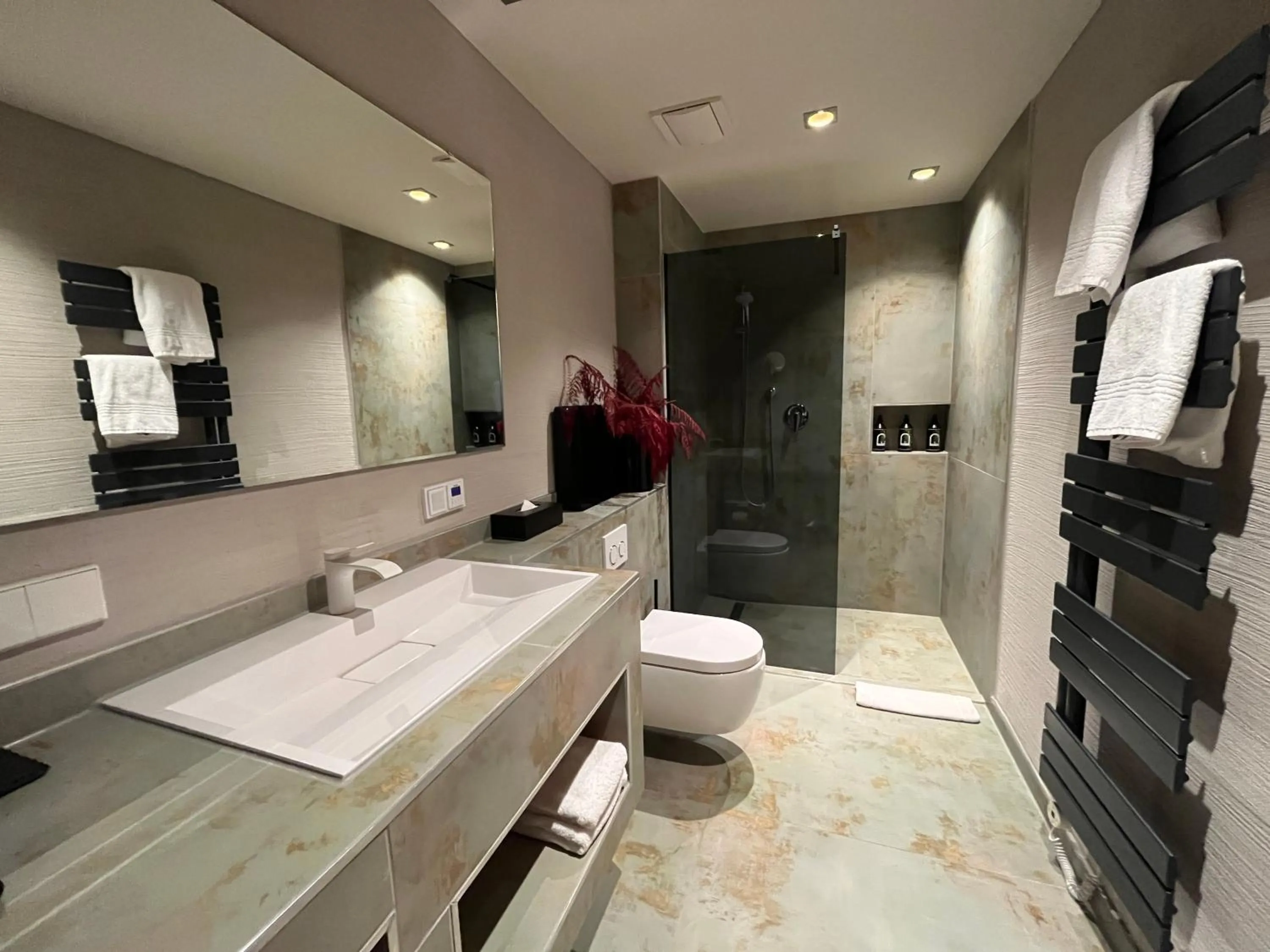 Bathroom in Hotel Schlossberg