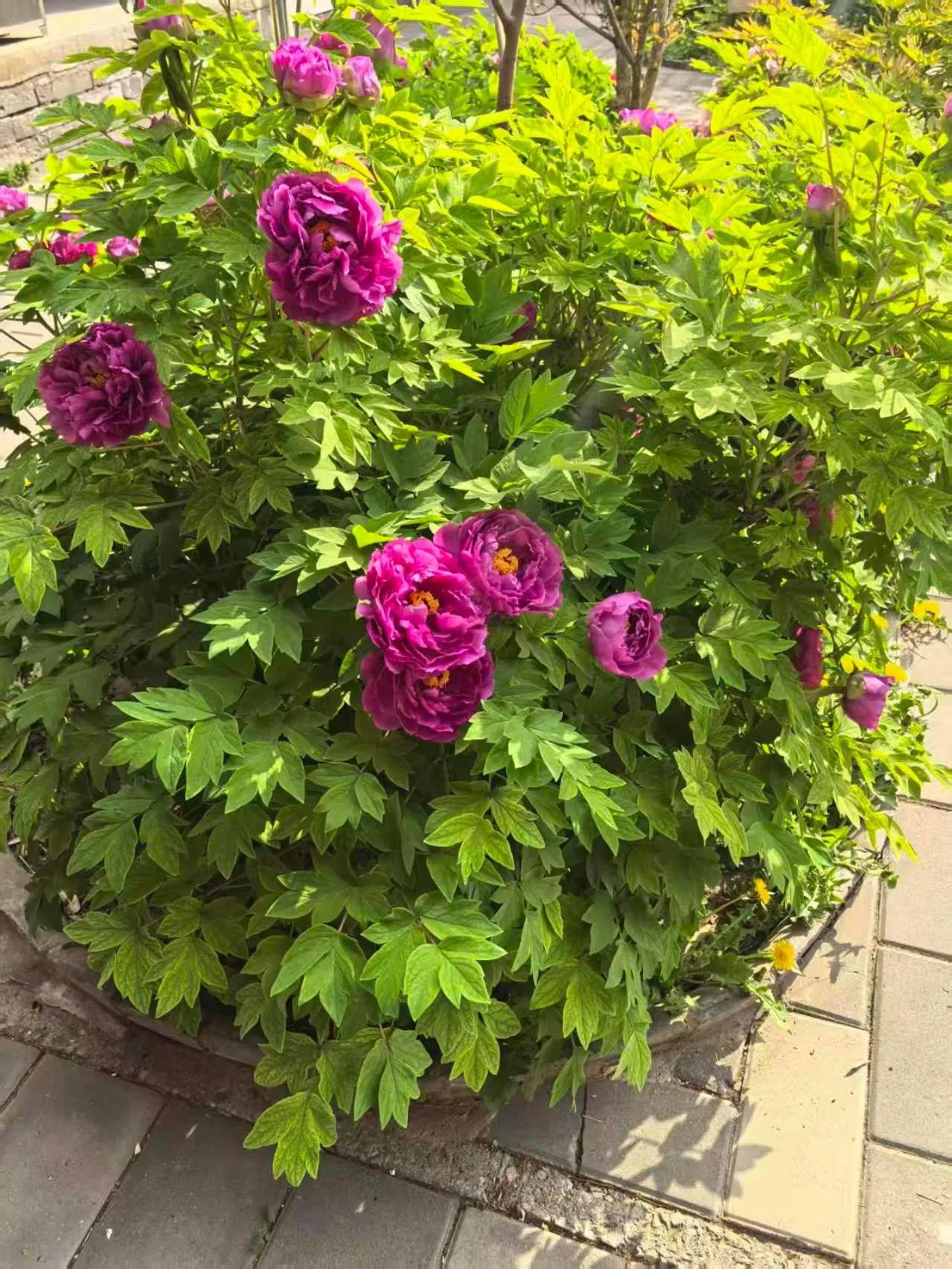 Beijing Jingyuan Courtyard Hotel