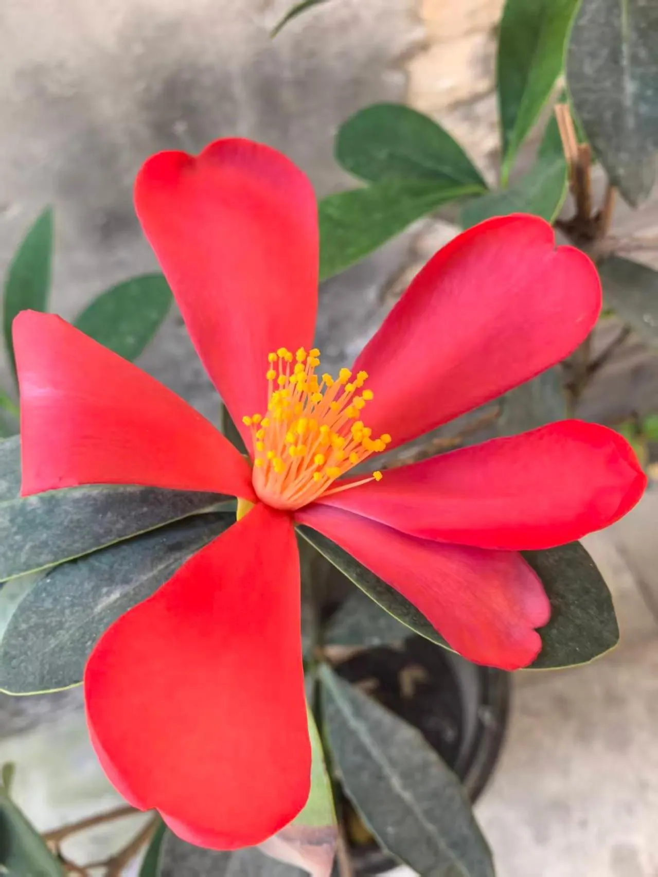 Beijing Jingyuan Courtyard Hotel