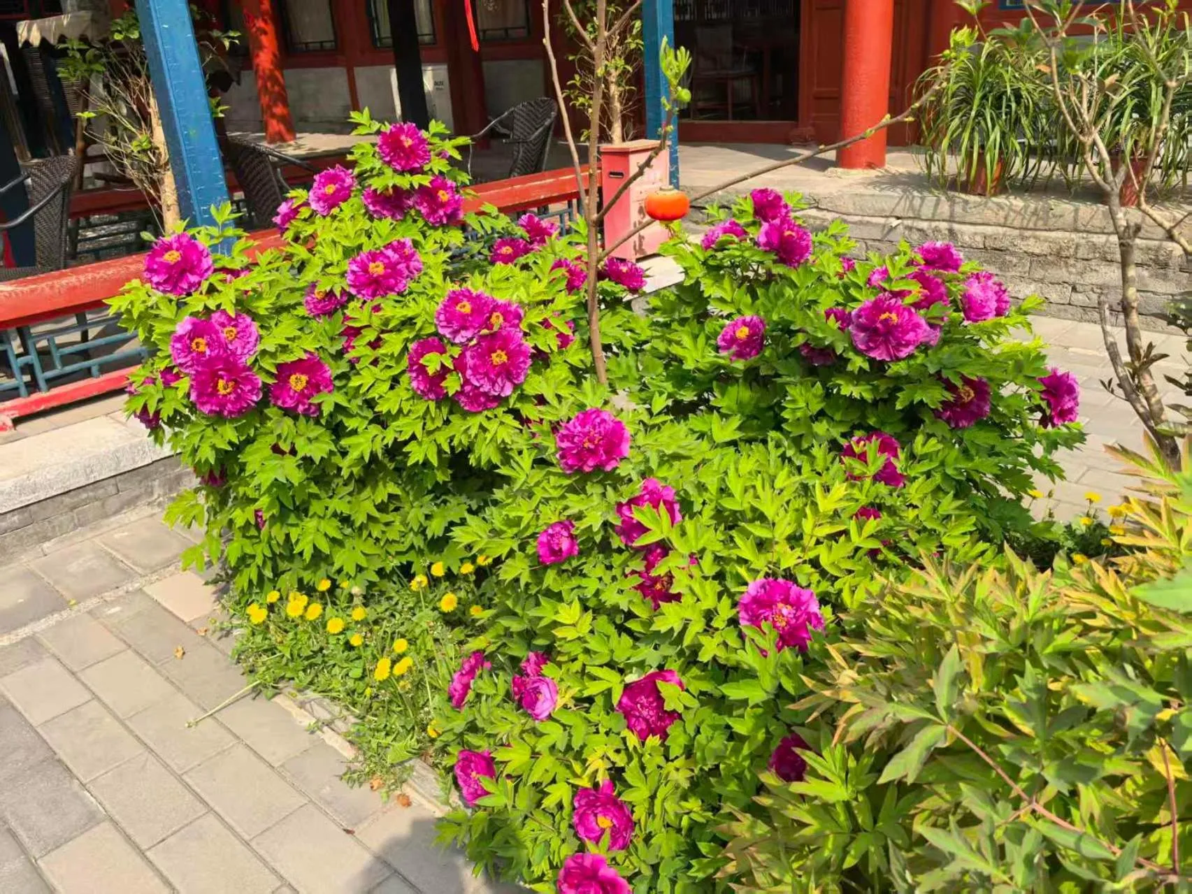 Beijing Jingyuan Courtyard Hotel