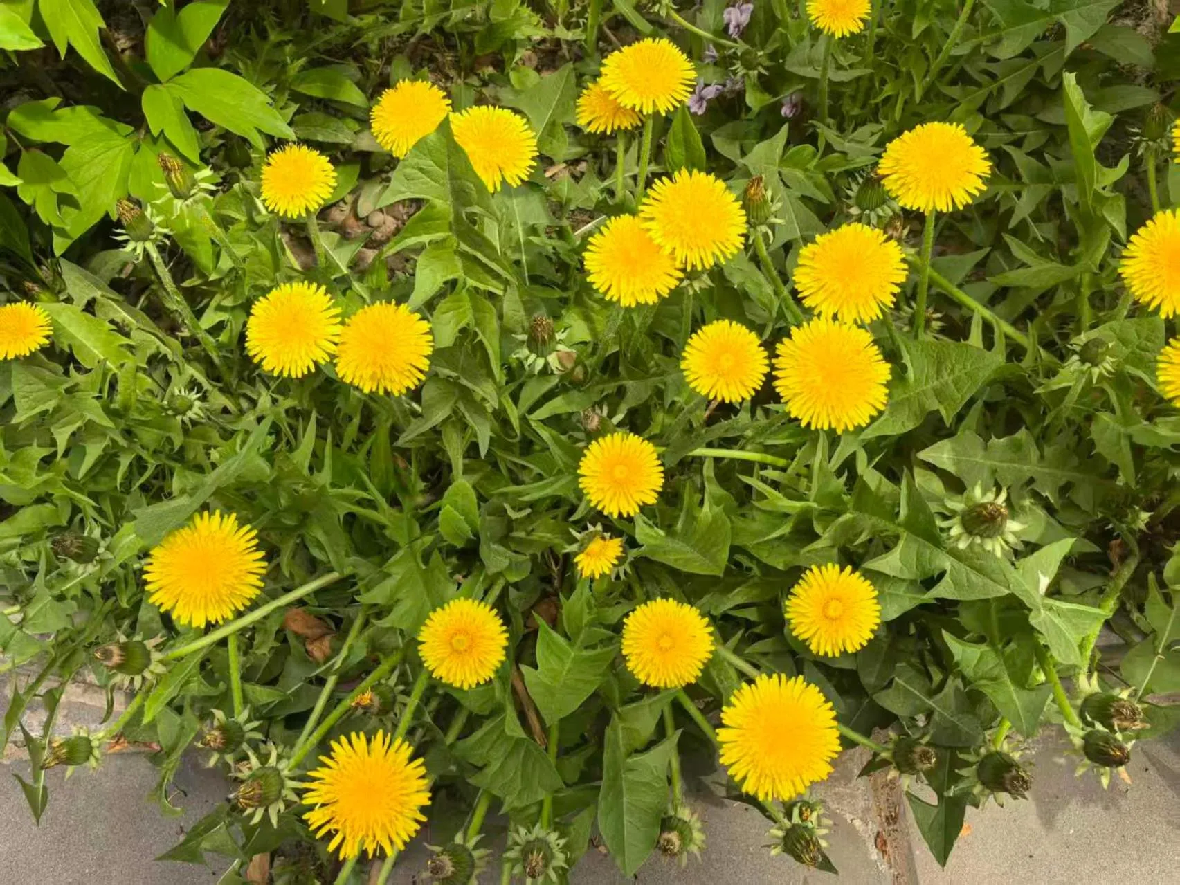 Beijing Jingyuan Courtyard Hotel