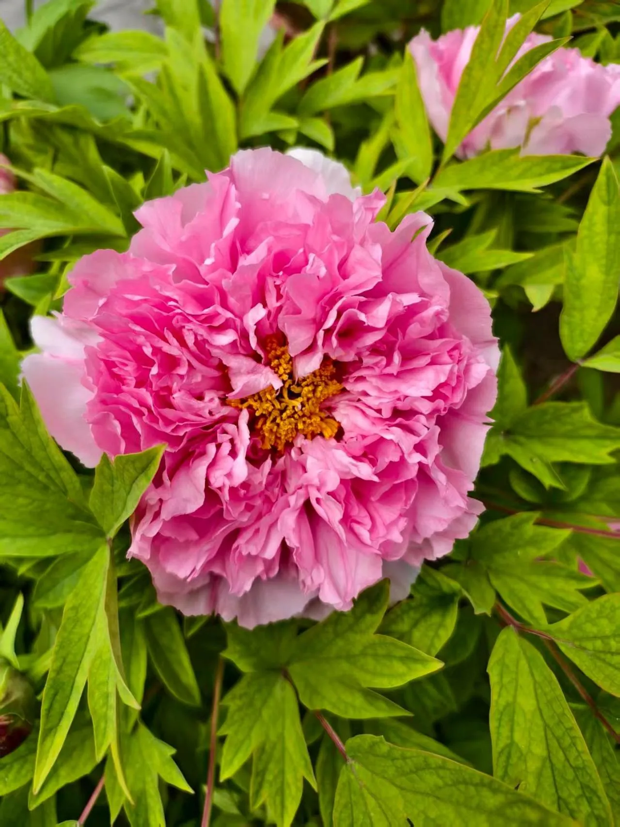 Beijing Jingyuan Courtyard Hotel