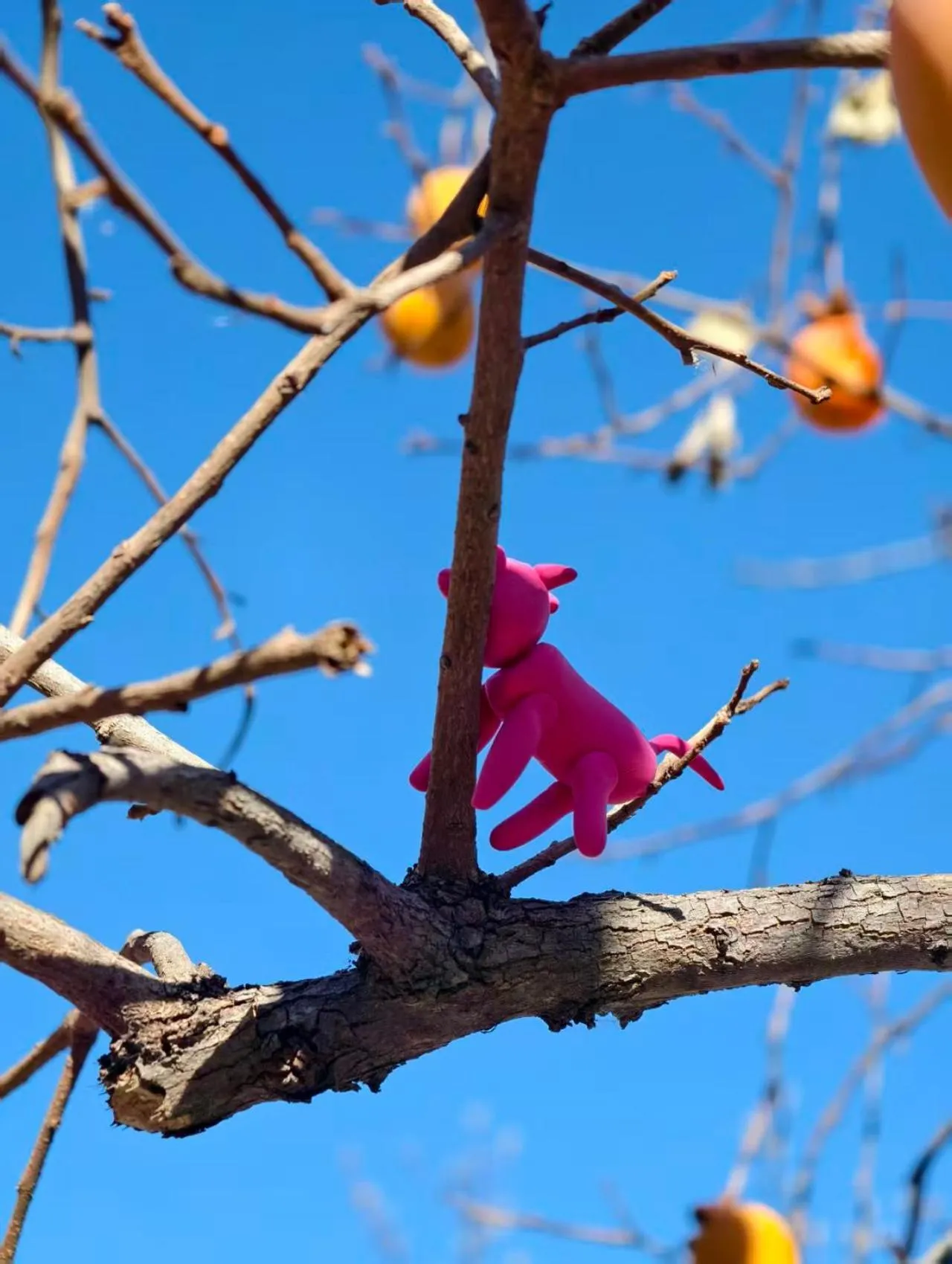Beijing Jingyuan Courtyard Hotel