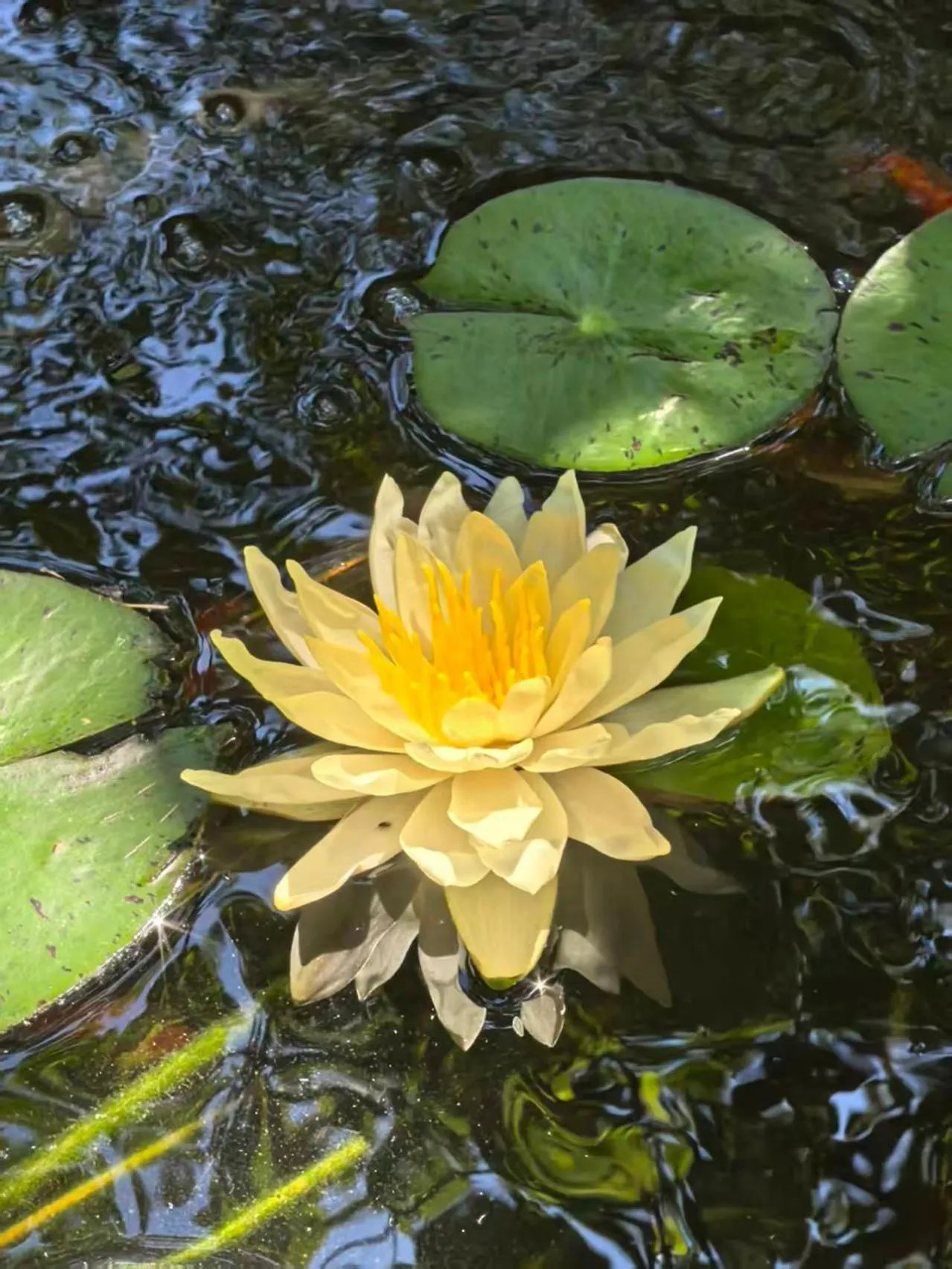 Beijing Jingyuan Courtyard Hotel