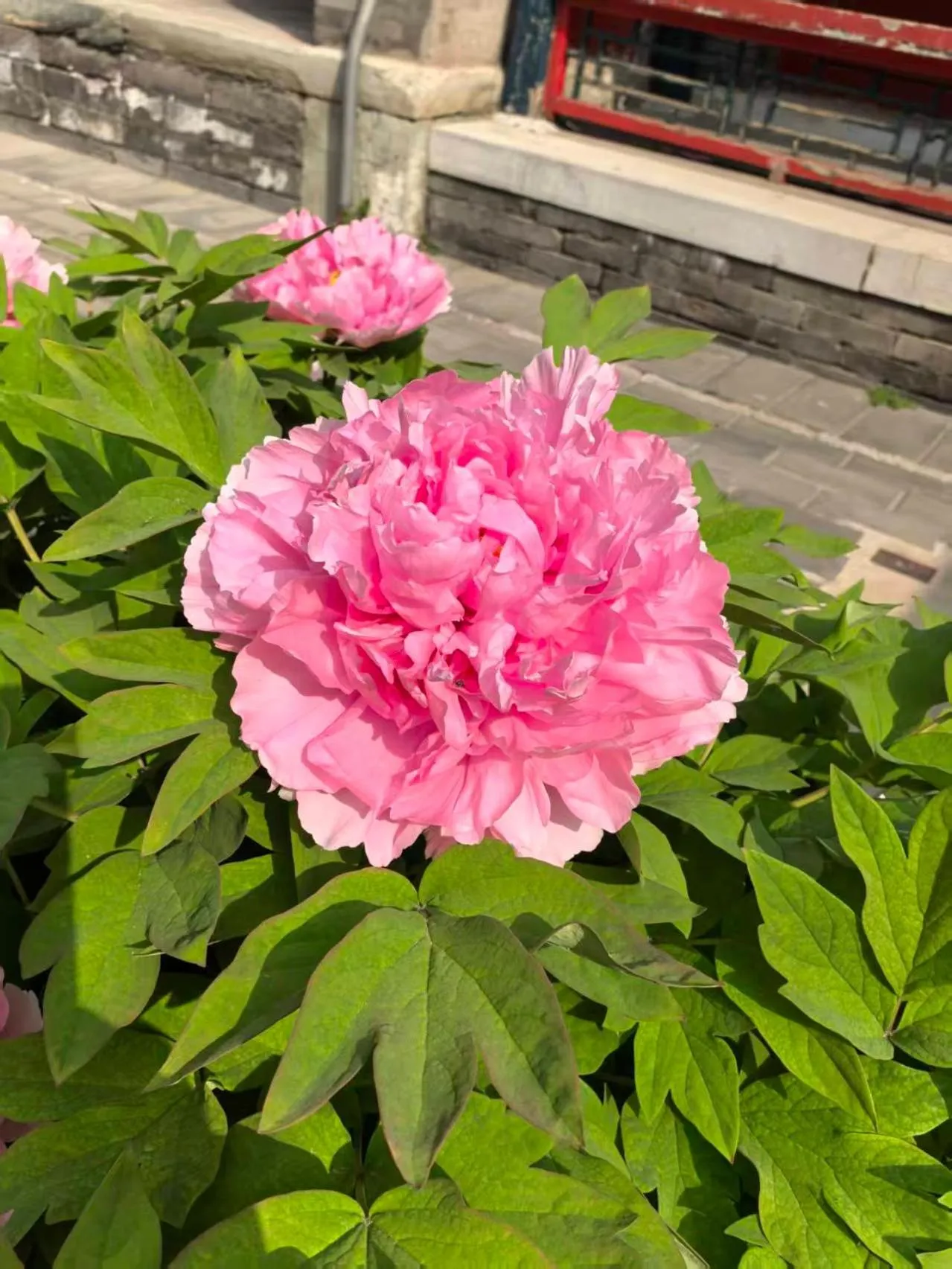 Beijing Jingyuan Courtyard Hotel