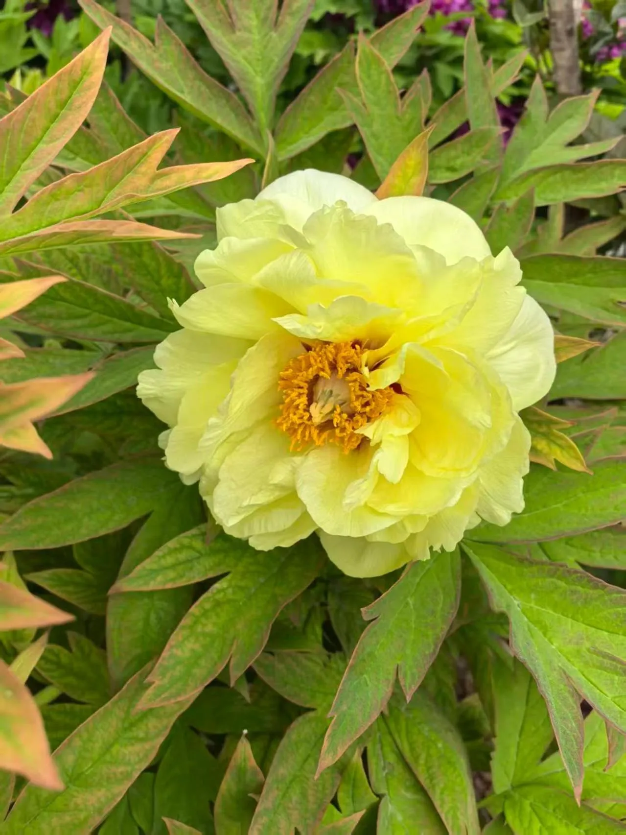 Beijing Jingyuan Courtyard Hotel