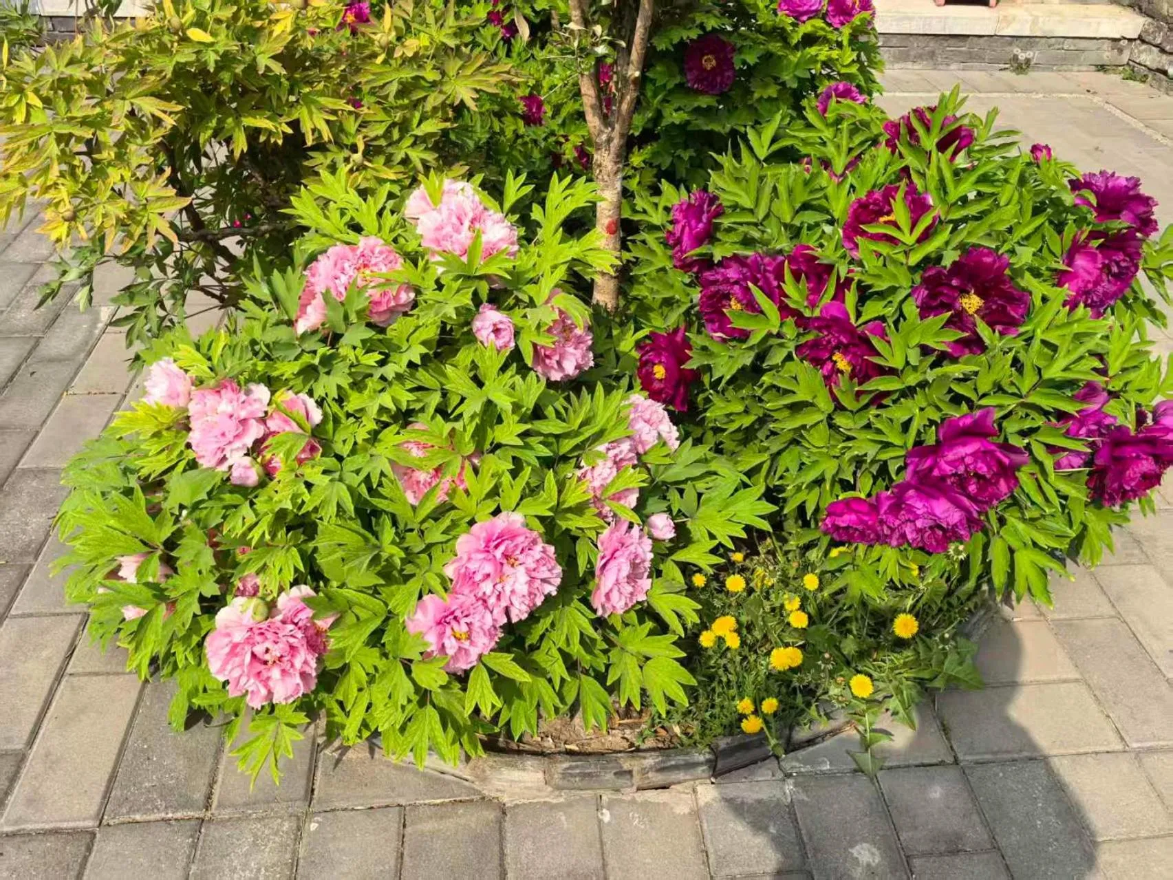 Beijing Jingyuan Courtyard Hotel