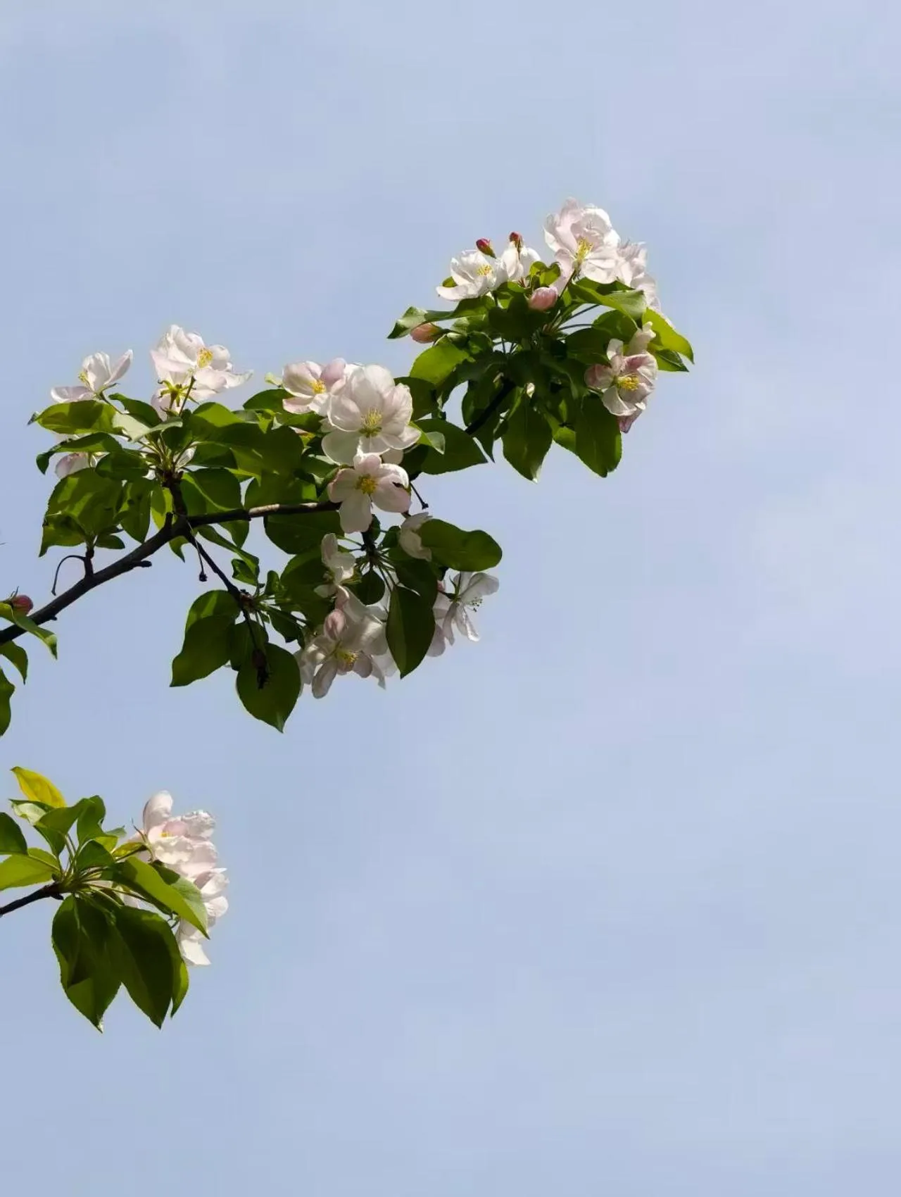 Beijing Jingyuan Courtyard Hotel