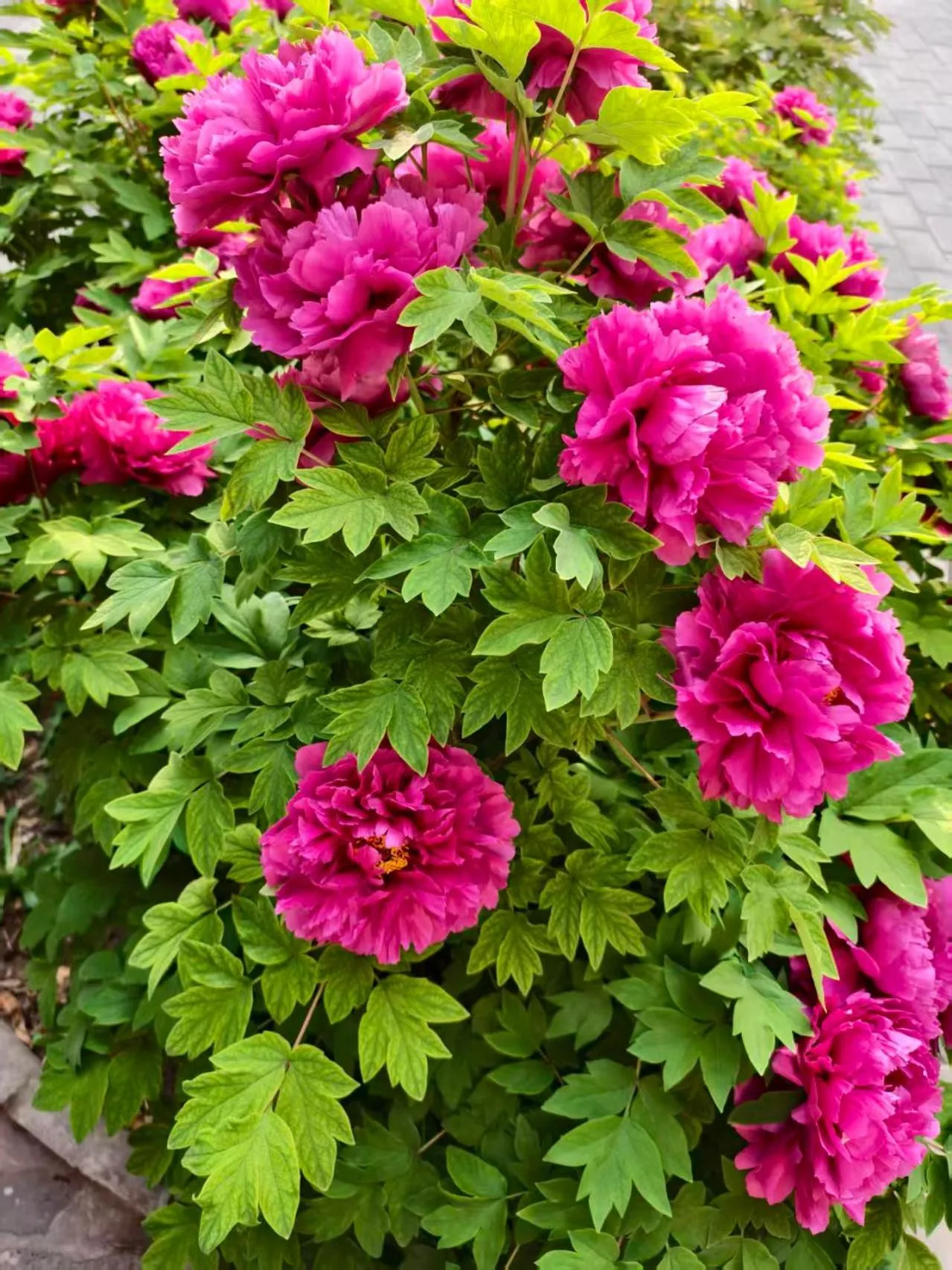 Beijing Jingyuan Courtyard Hotel