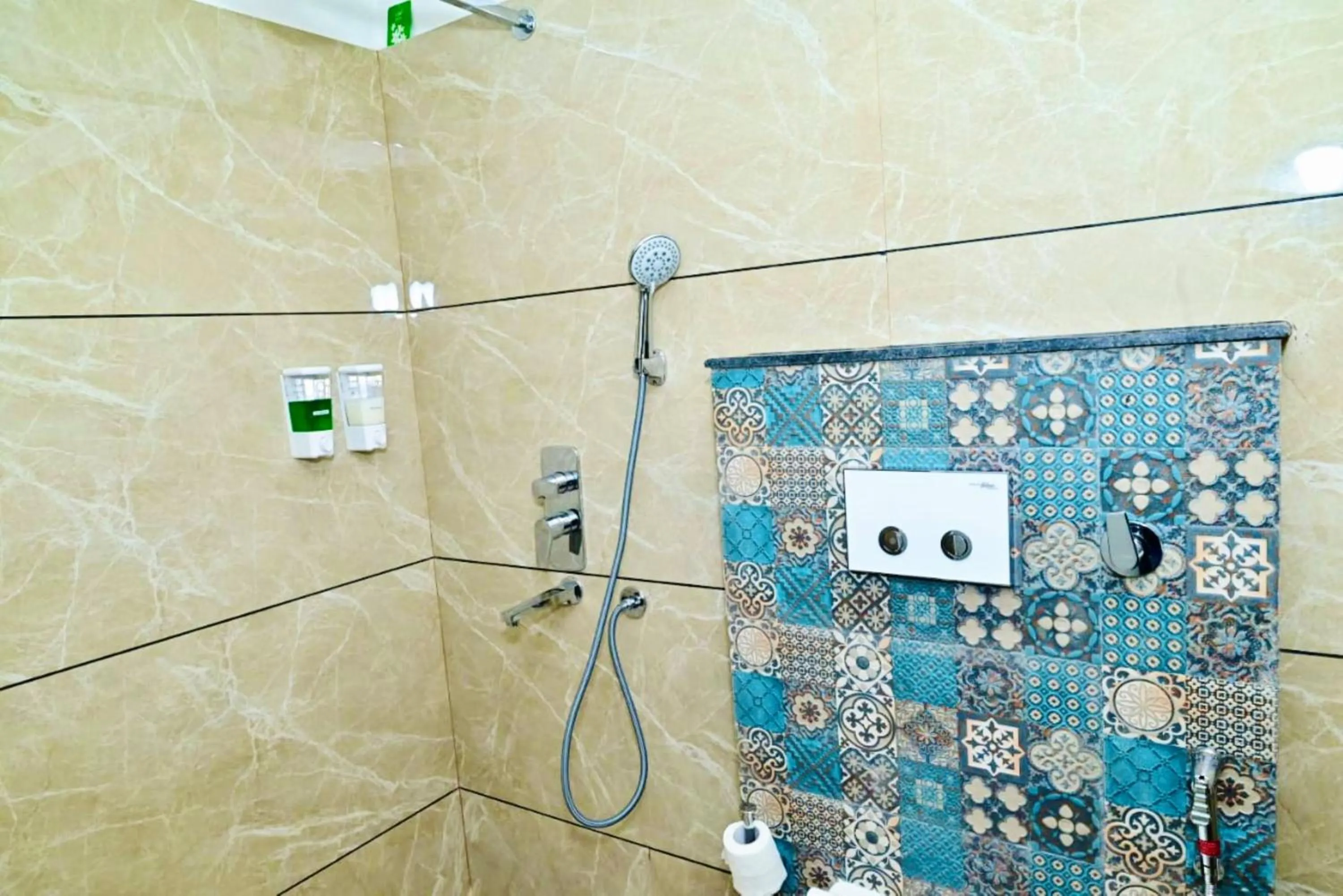 Shower in Hotel Metro Regency Meerut