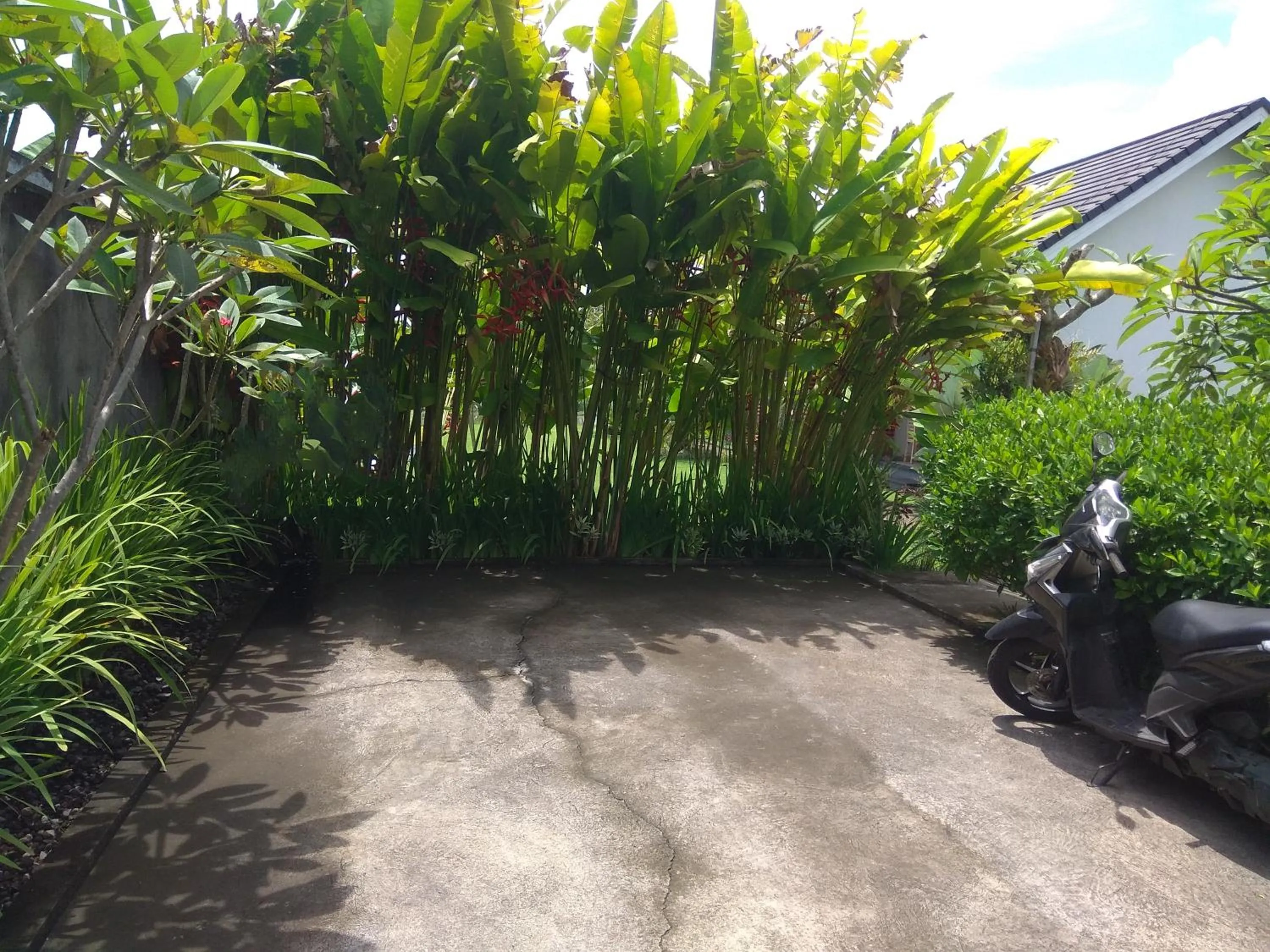 Garden view in Tamiu Guesthouse at Desa Wisata Keramas Near Keramas Surf Beach