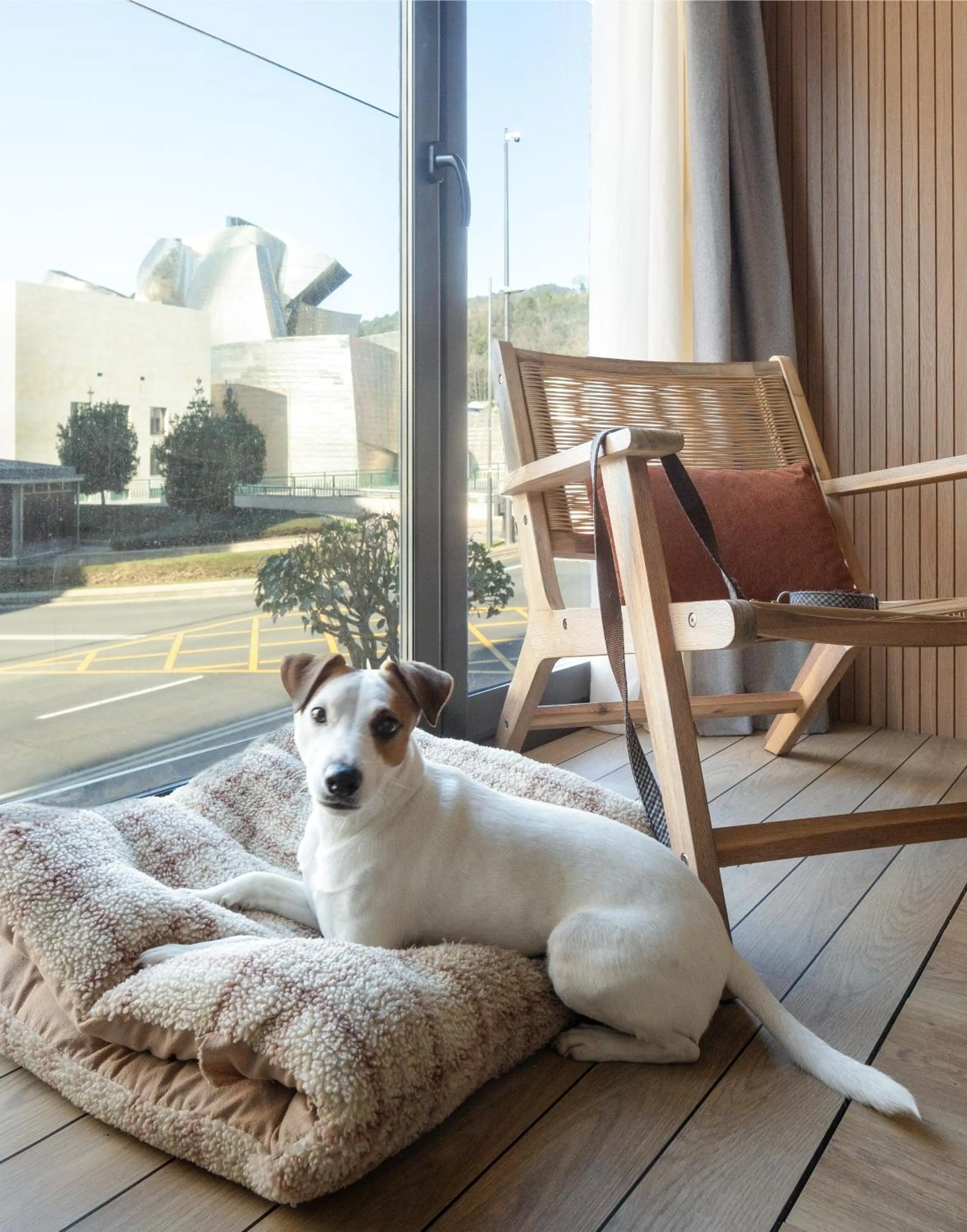 Pets in Líbere Bilbao Museo