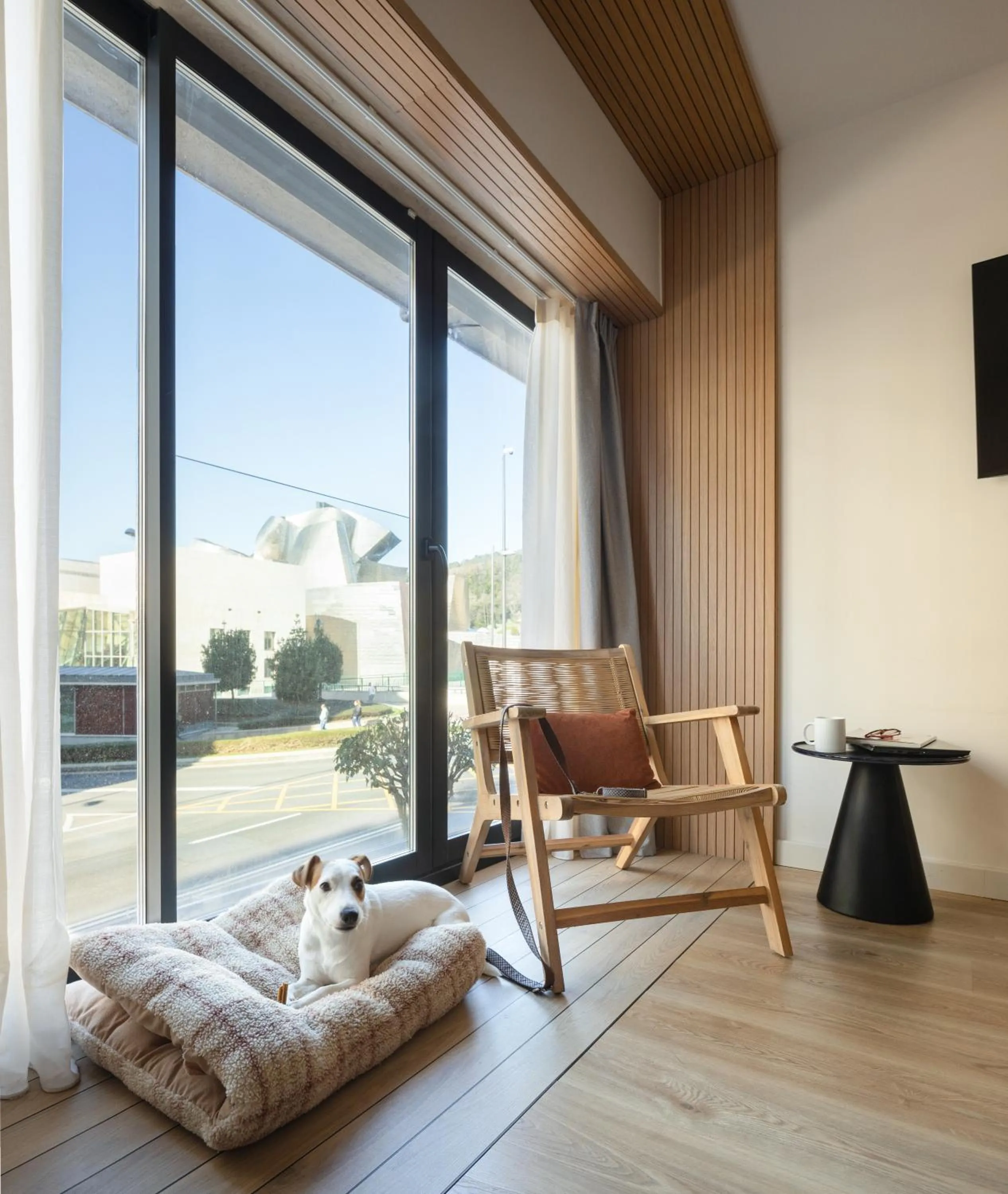 Pets in Líbere Bilbao Museo