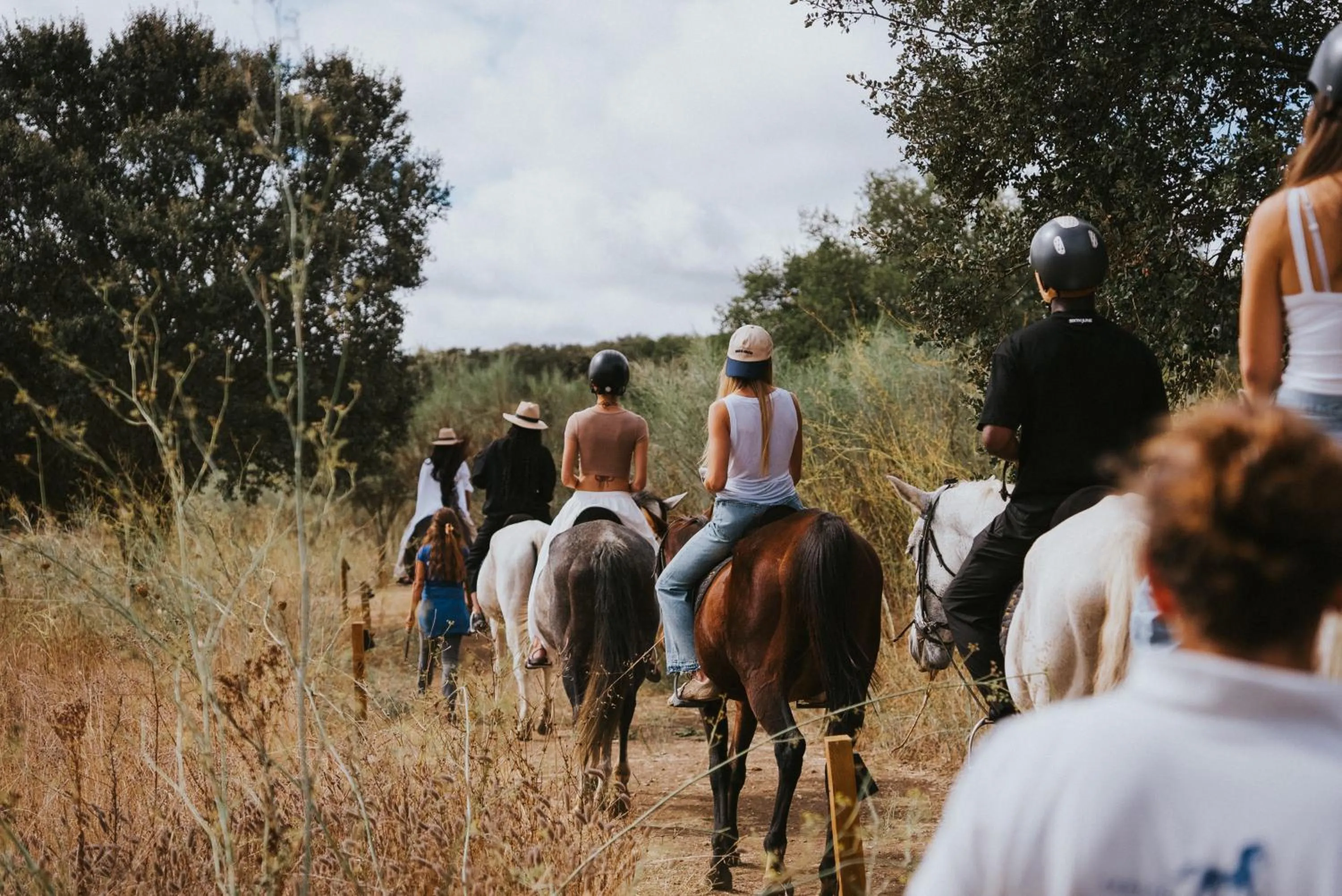 Activities in Octant Evora