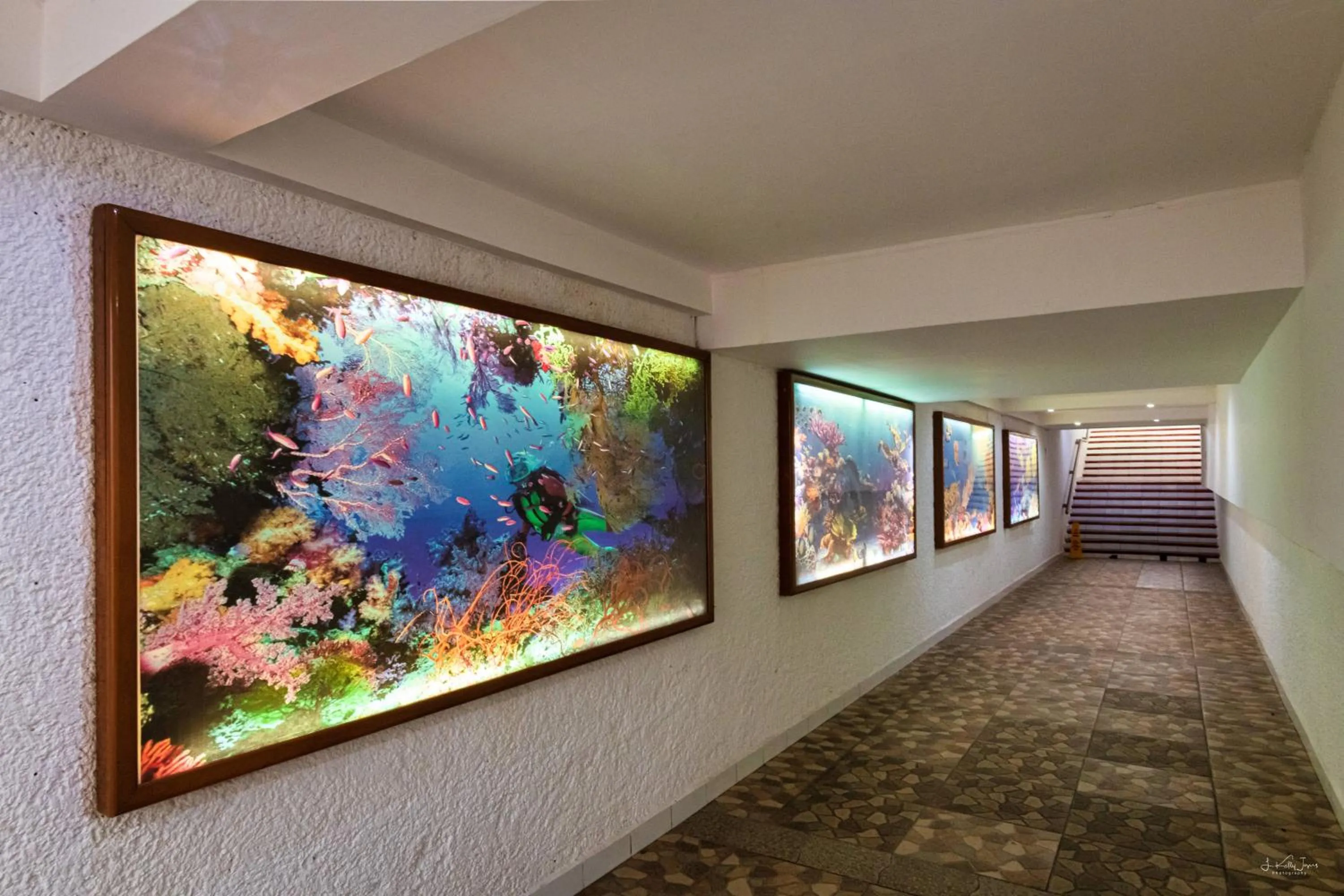 Property building in Cozumel Hotel & Resort All Inclusive