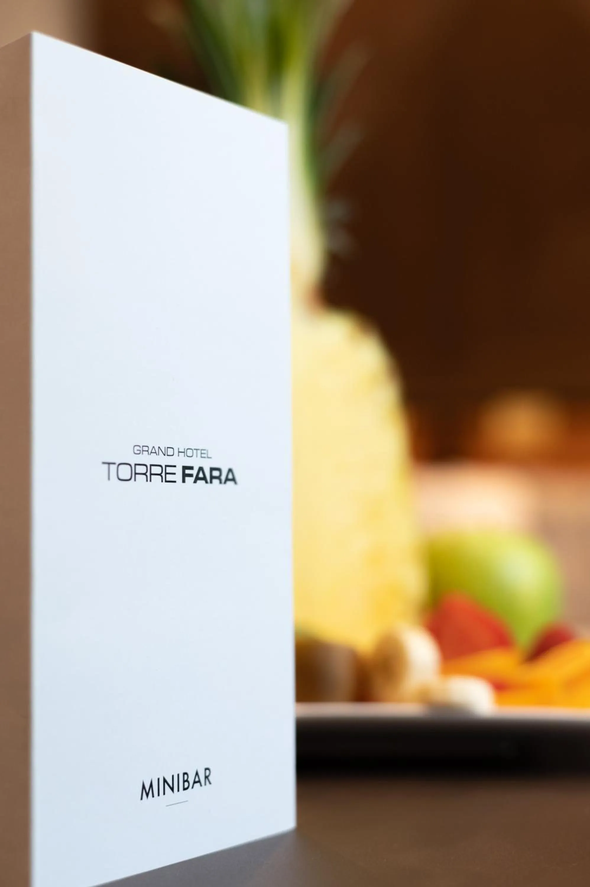 Property logo or sign in Grand Hotel Torre Fara