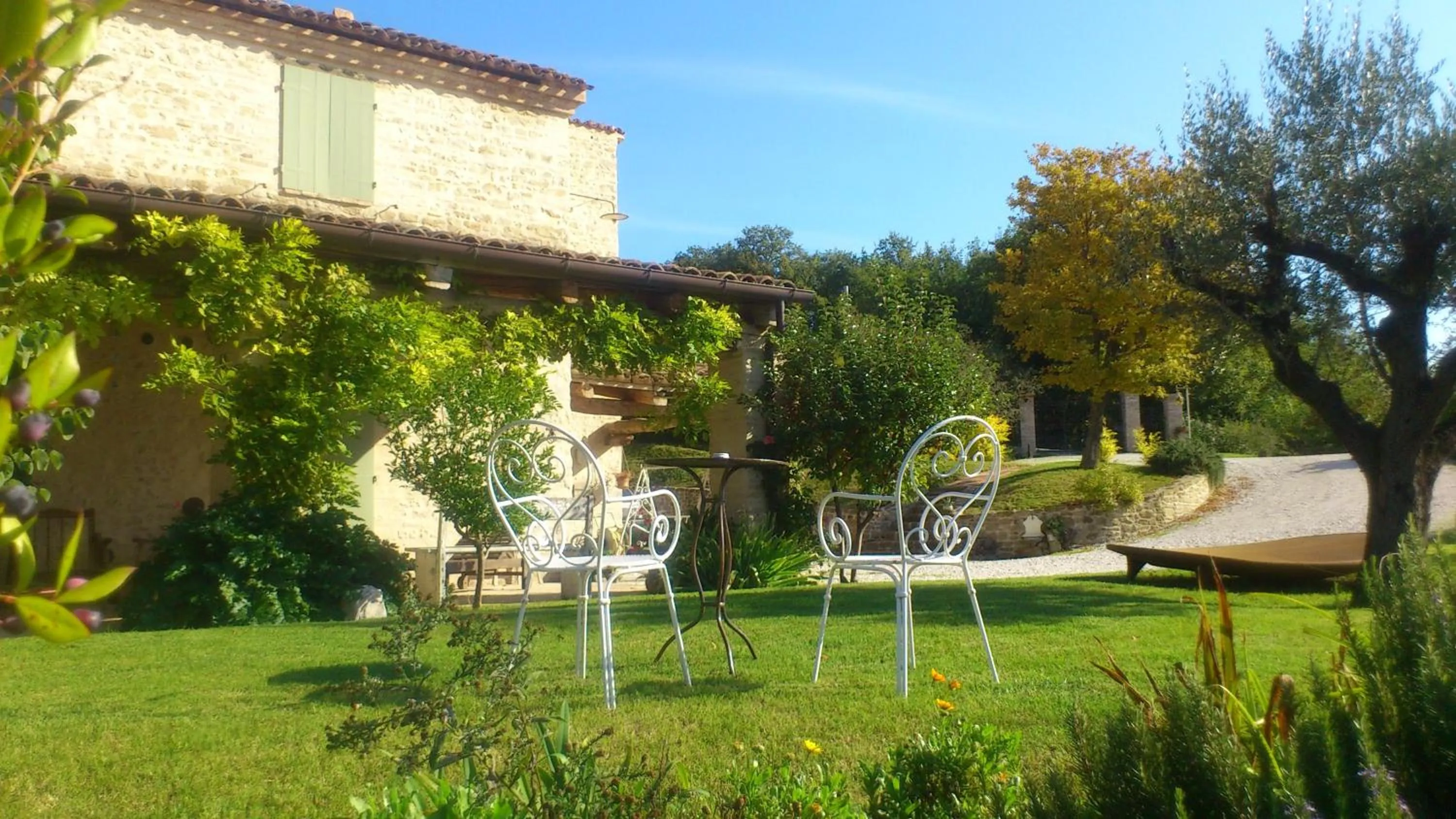 Garden in Poggio Dei Prugnoli