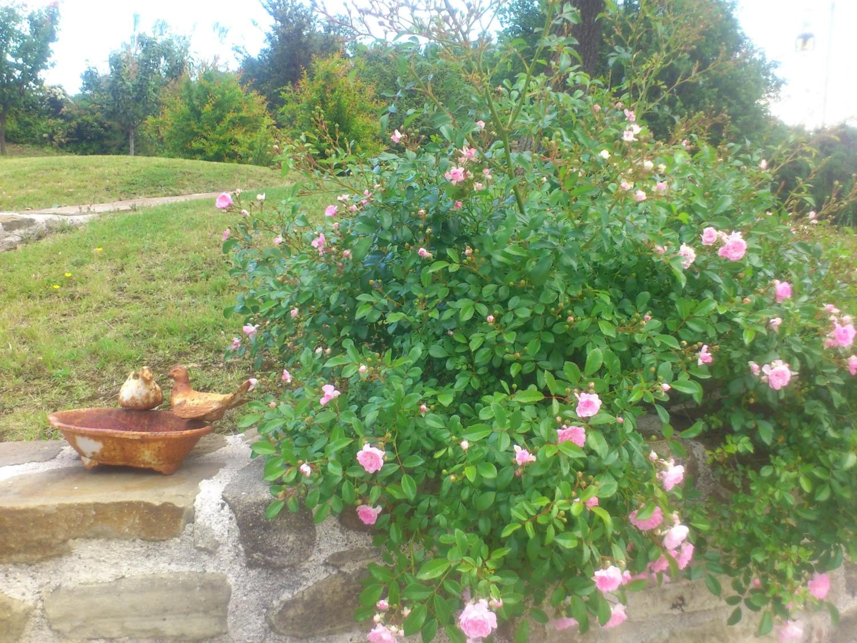 Garden view in Poggio Dei Prugnoli