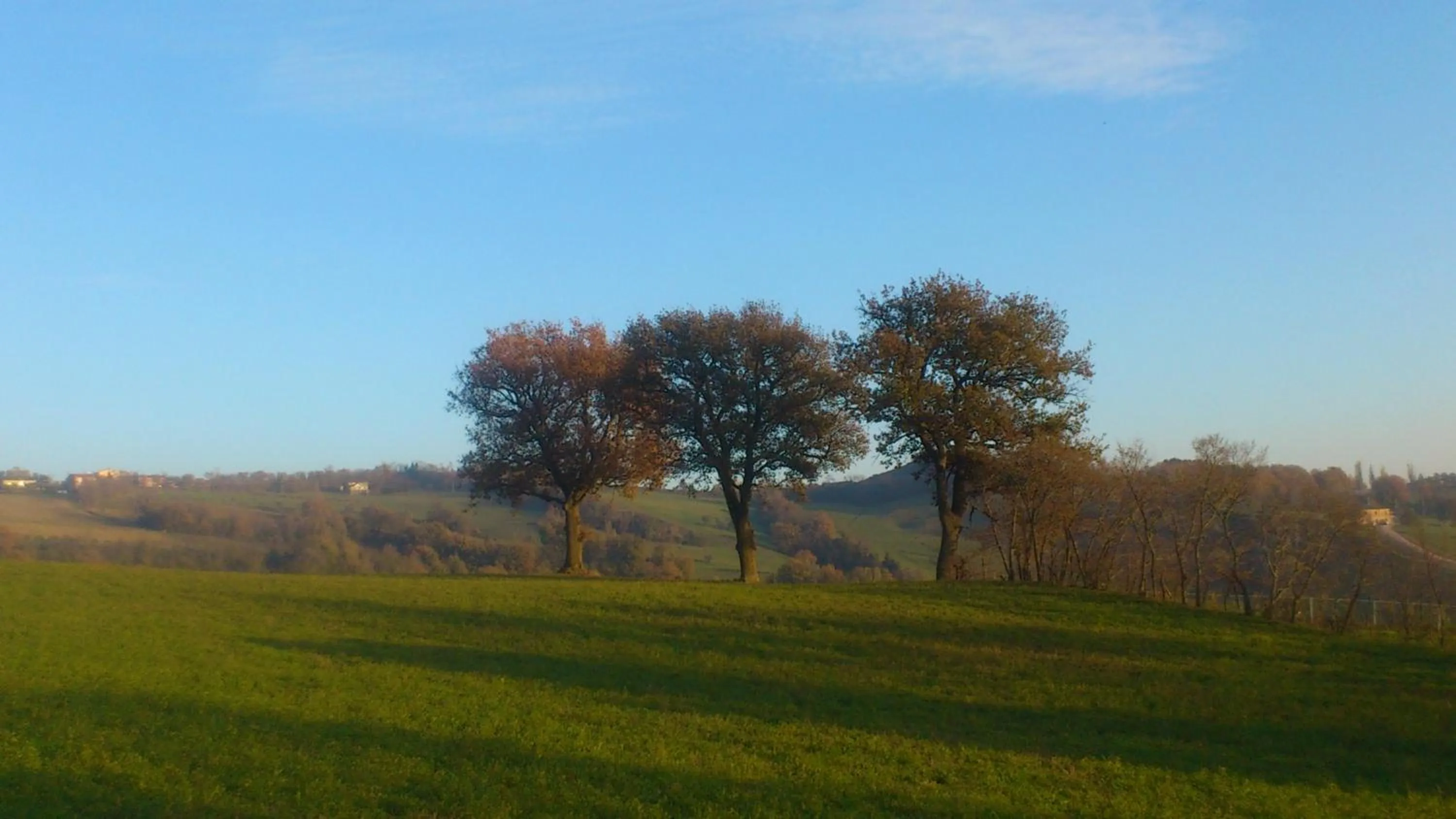 Other in Poggio Dei Prugnoli