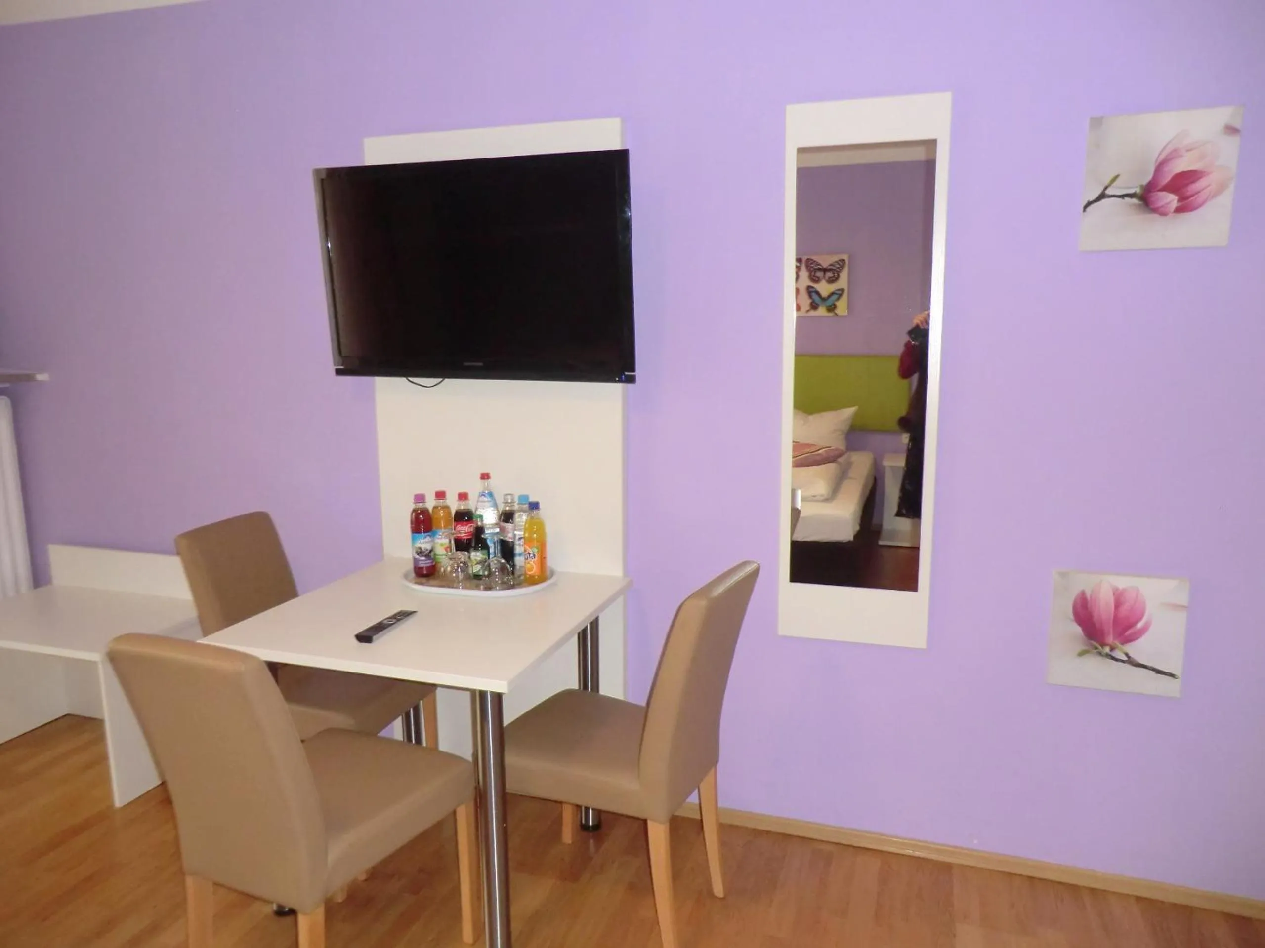 TV and multimedia in Hotel Pension Haydn