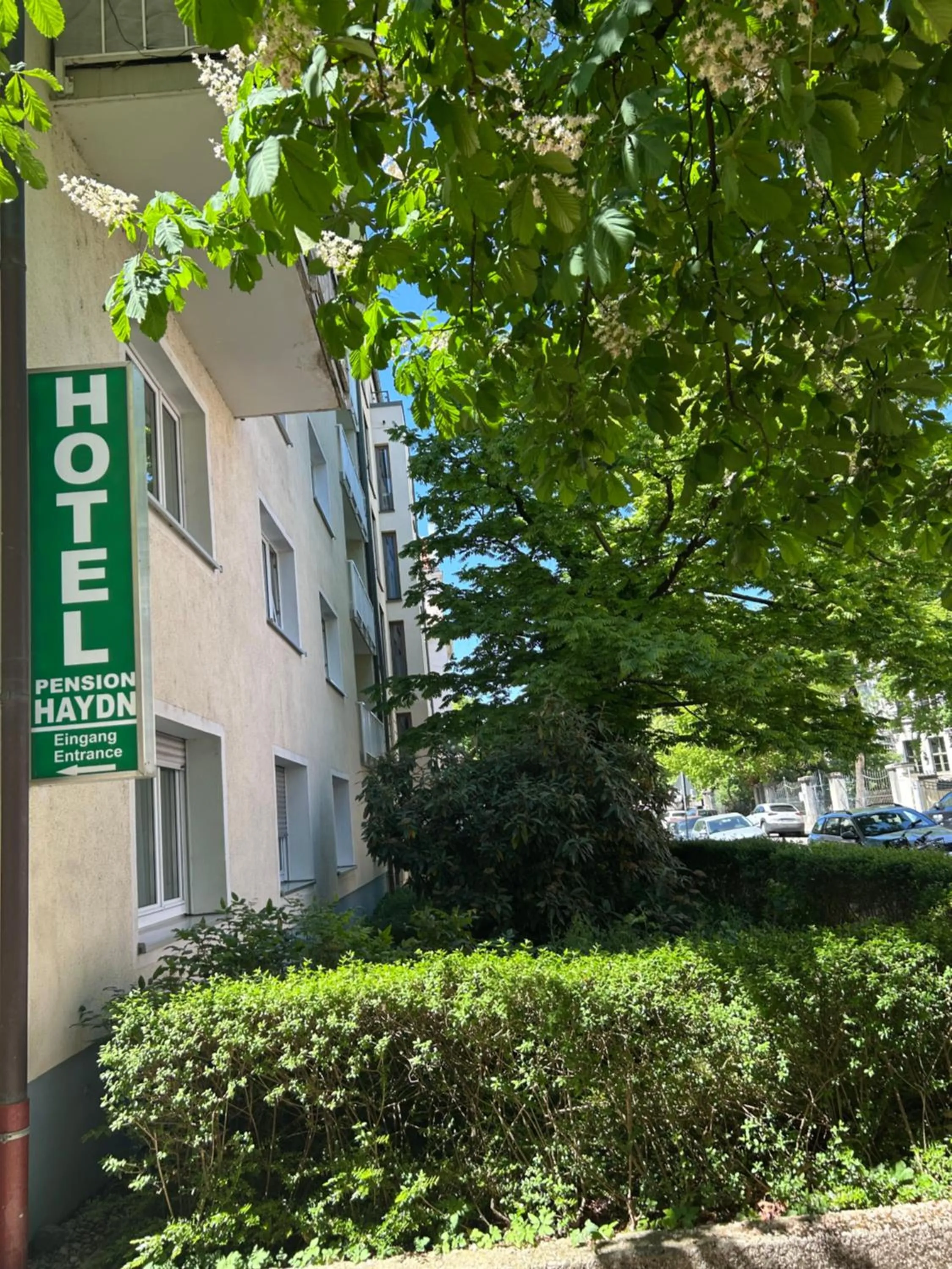 Facade/entrance in Hotel Pension Haydn