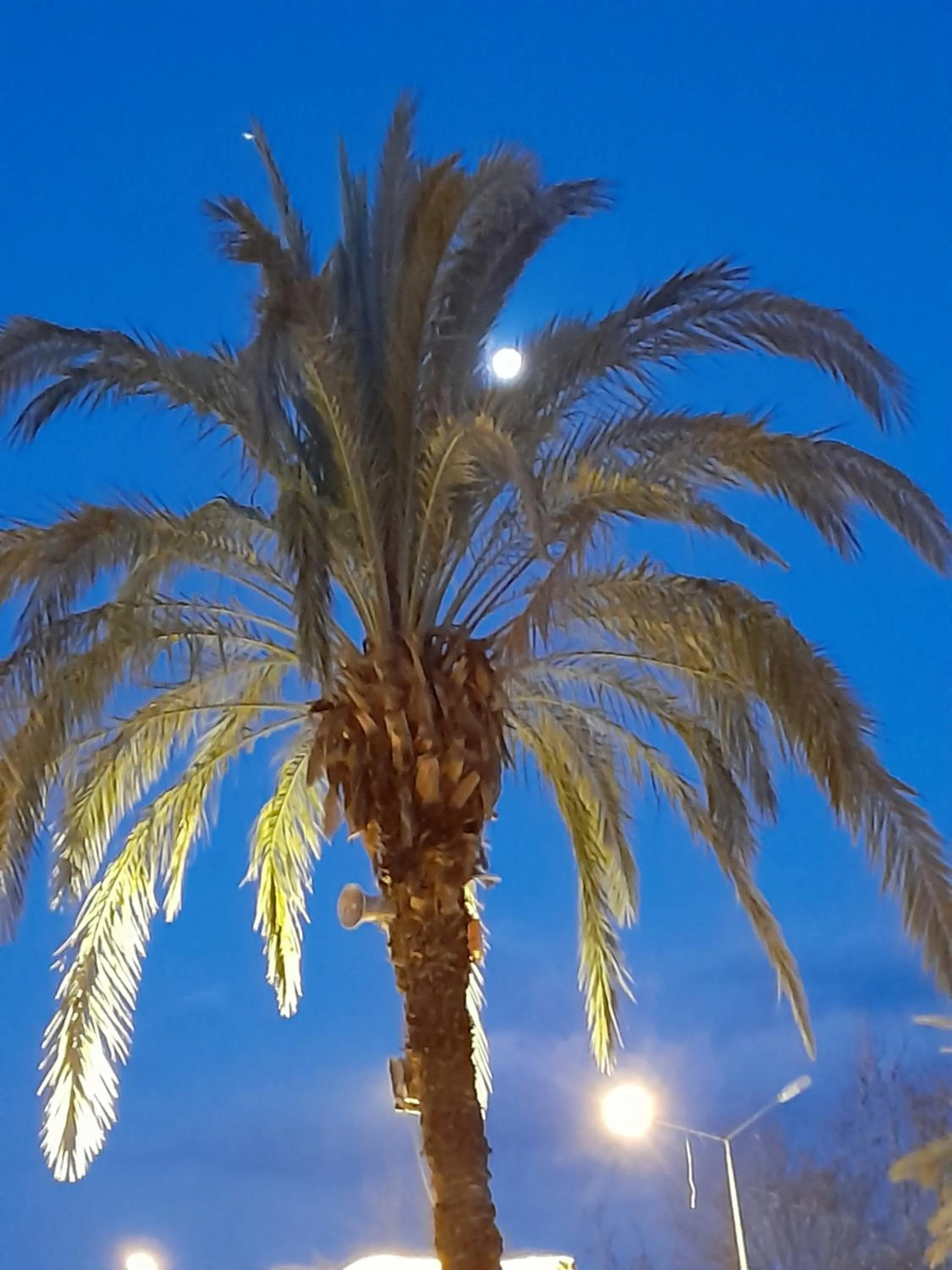 Natural landscape in Luna Piena Hotel