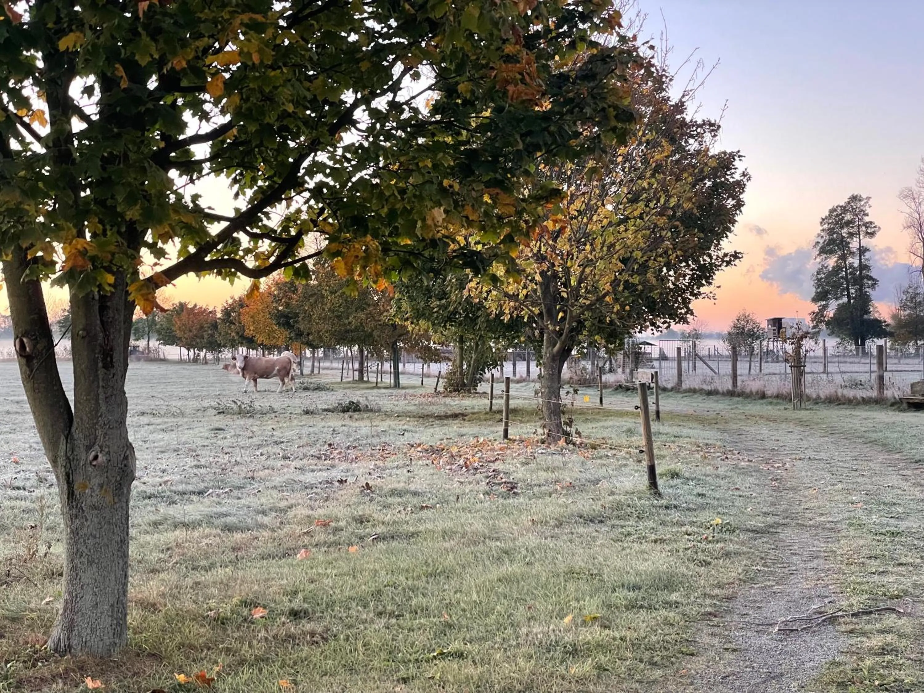 Nearby landmark in Christinenhof & Spa - Wellnesshotel am Rande des Spreewalds