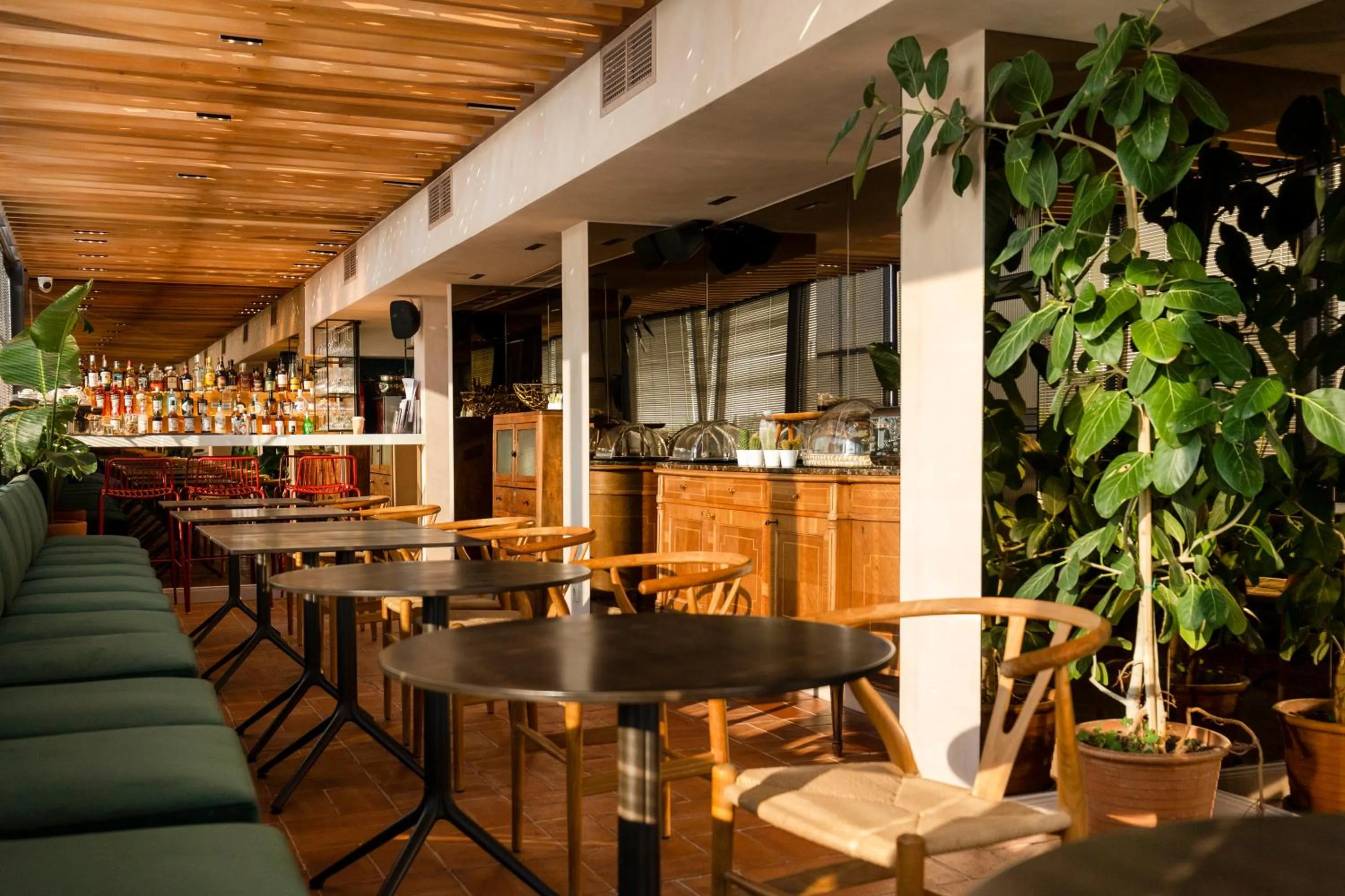 Restaurant/places to eat in L'Avventura Athens