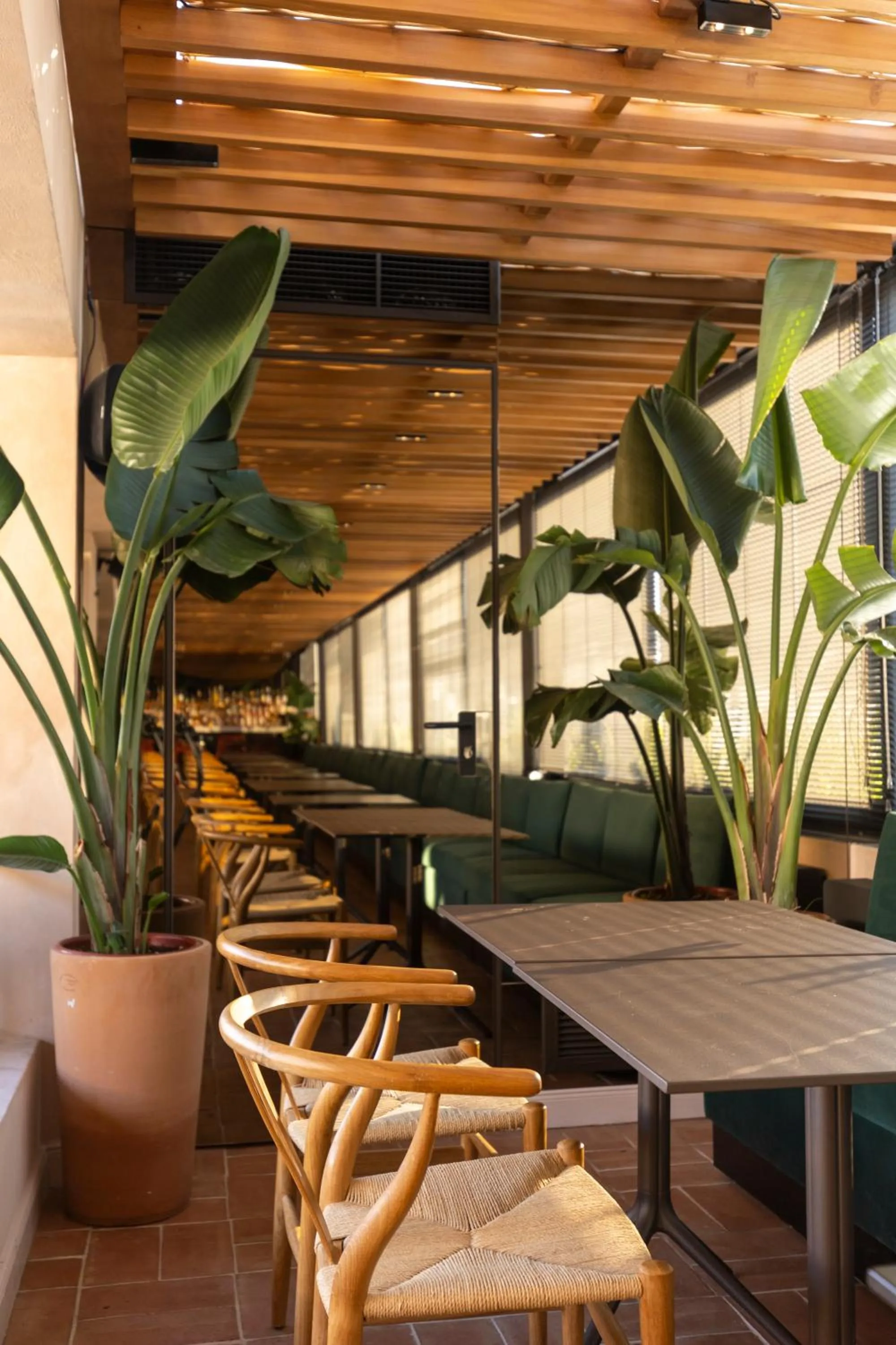 Restaurant/places to eat in L'Avventura Athens