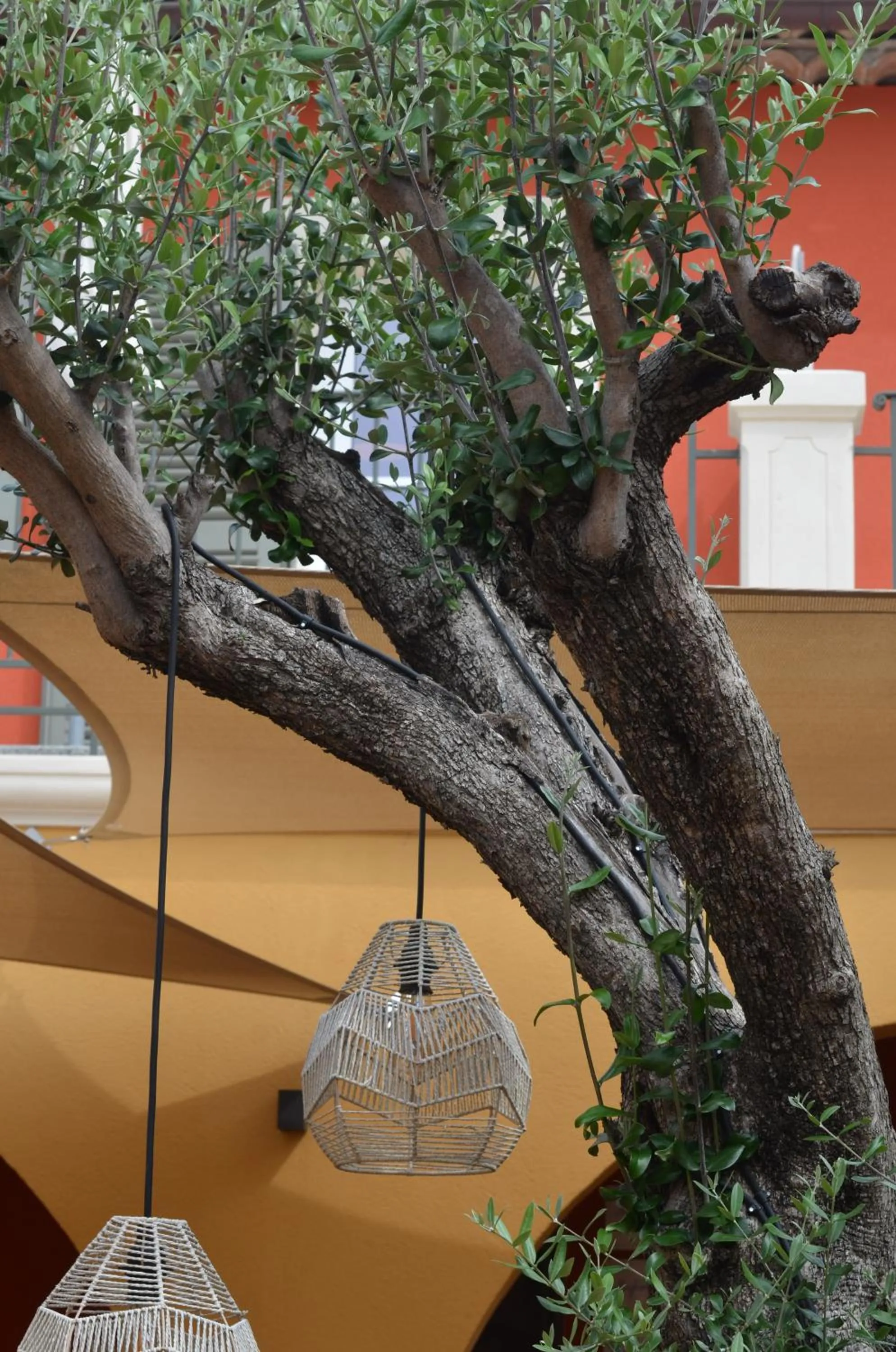 Restaurant/places to eat in Le Mouillage