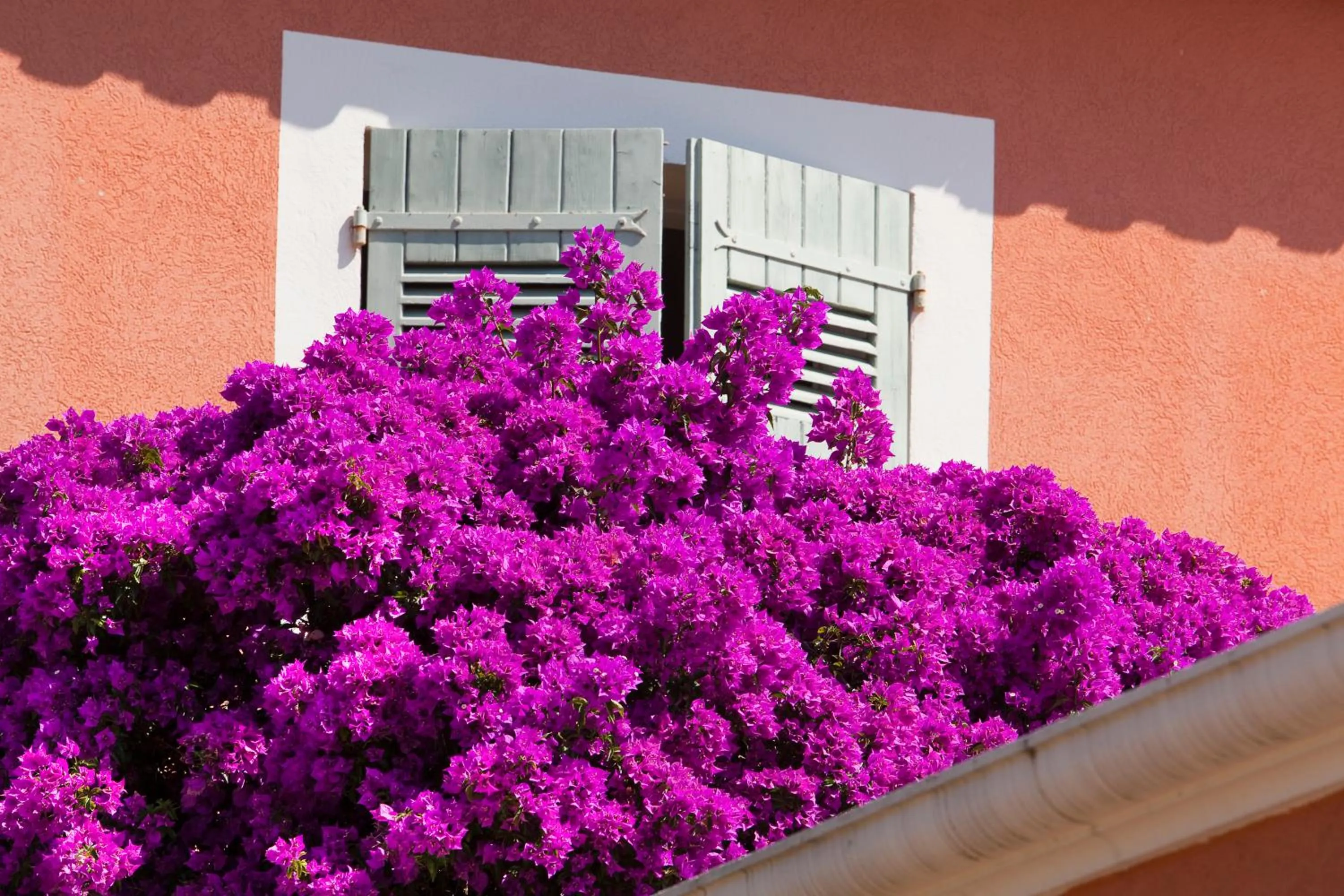 Spring in Le Mouillage