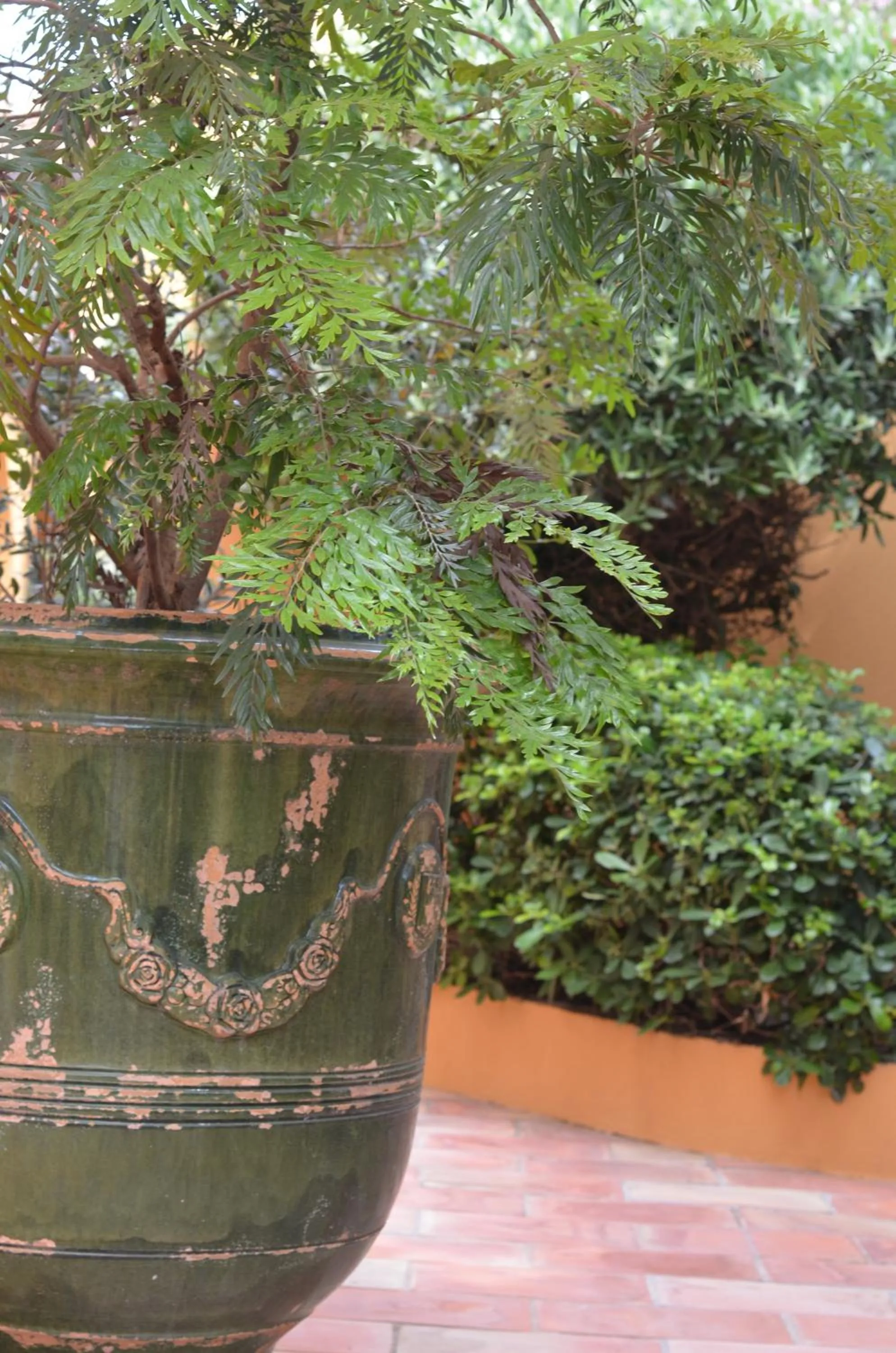 Garden in Le Mouillage