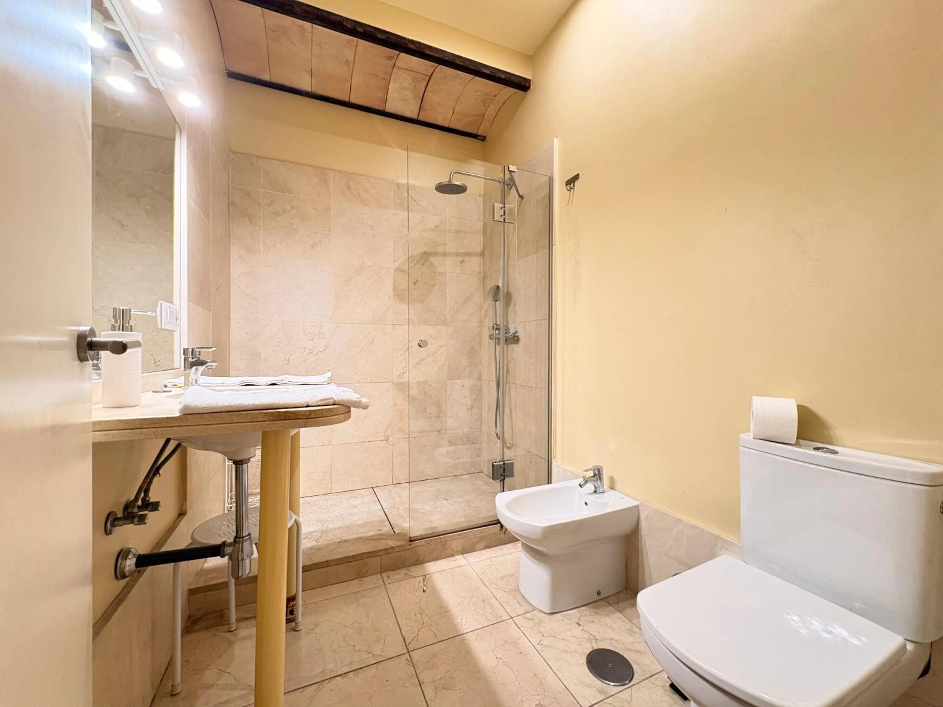 Shower in Life Apartments San Vicente