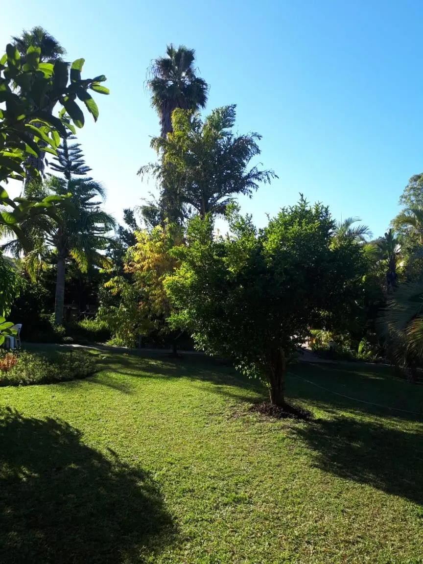Natural landscape in Thornycroft Lodge