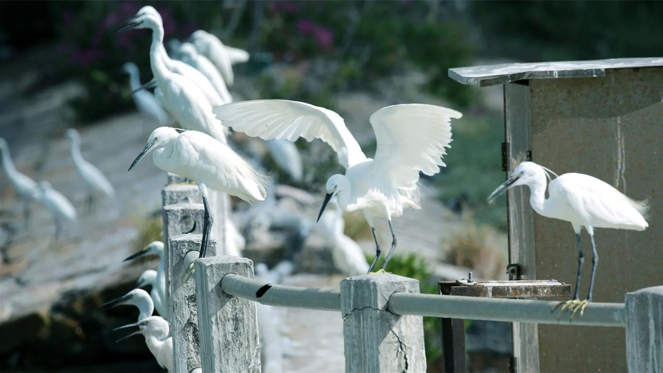 Nearby landmark in Marco Polo Xiamen