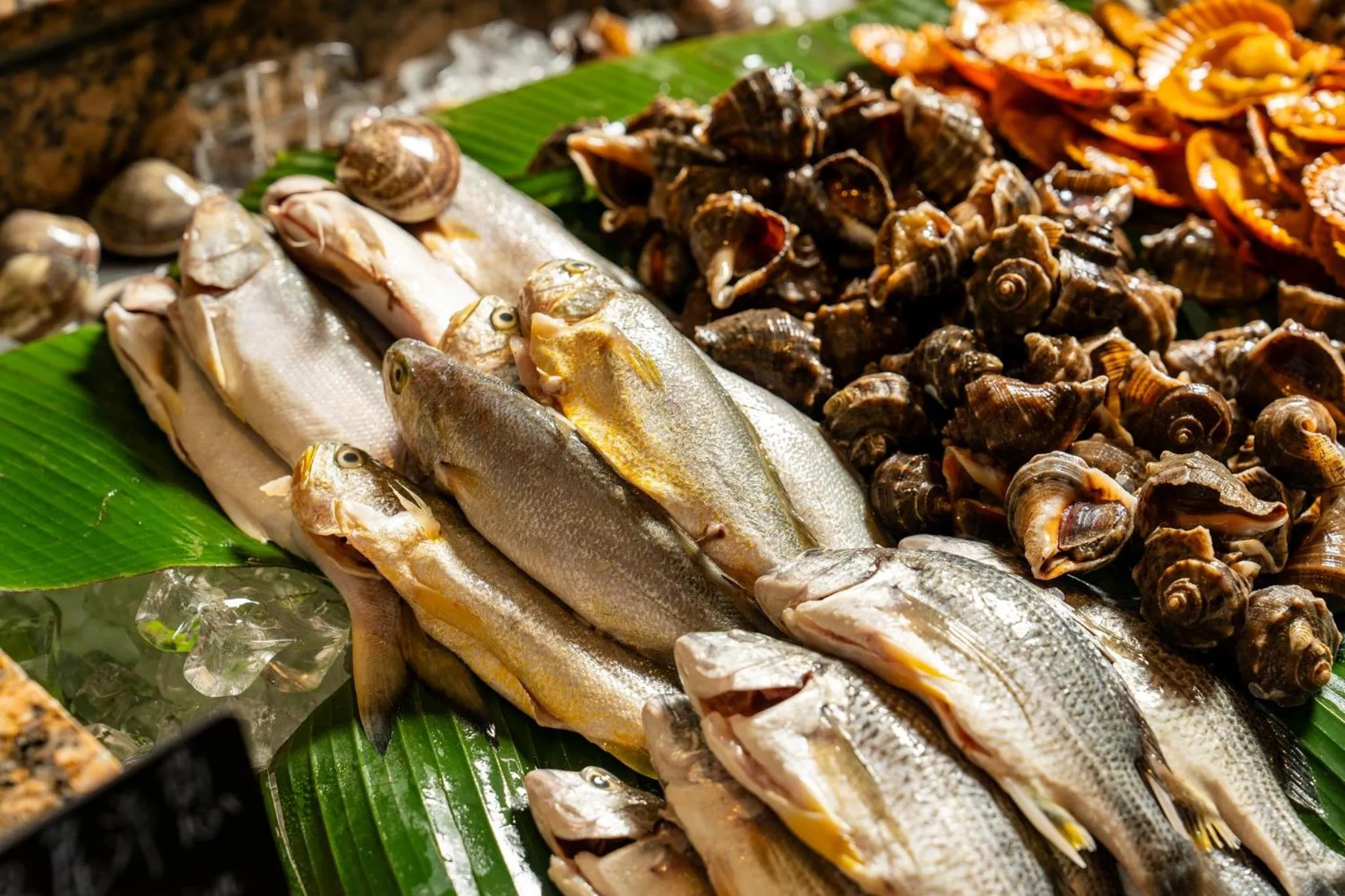 Restaurant/places to eat in Marco Polo Xiamen