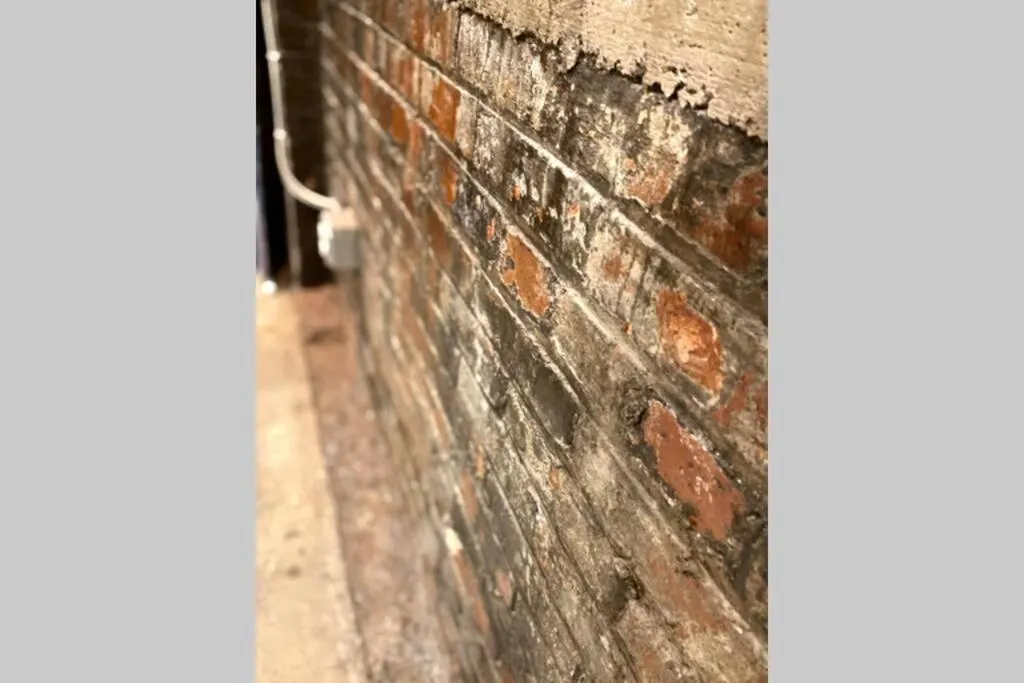 Decorative detail in 3E-Cozy! Micro apartment! in Oakland, sleeps 1