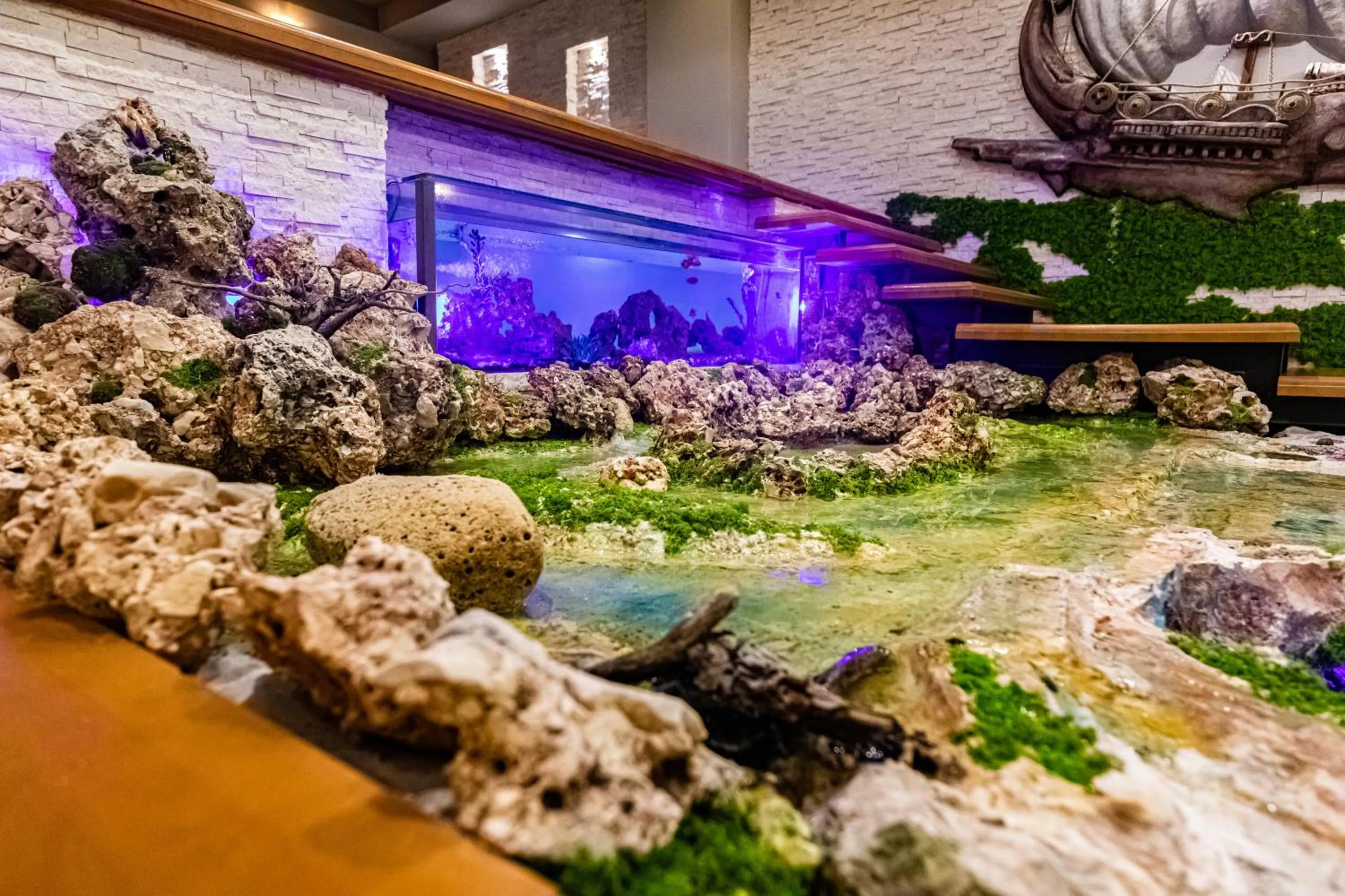 Entertainment in Kraal Hotel Vlore