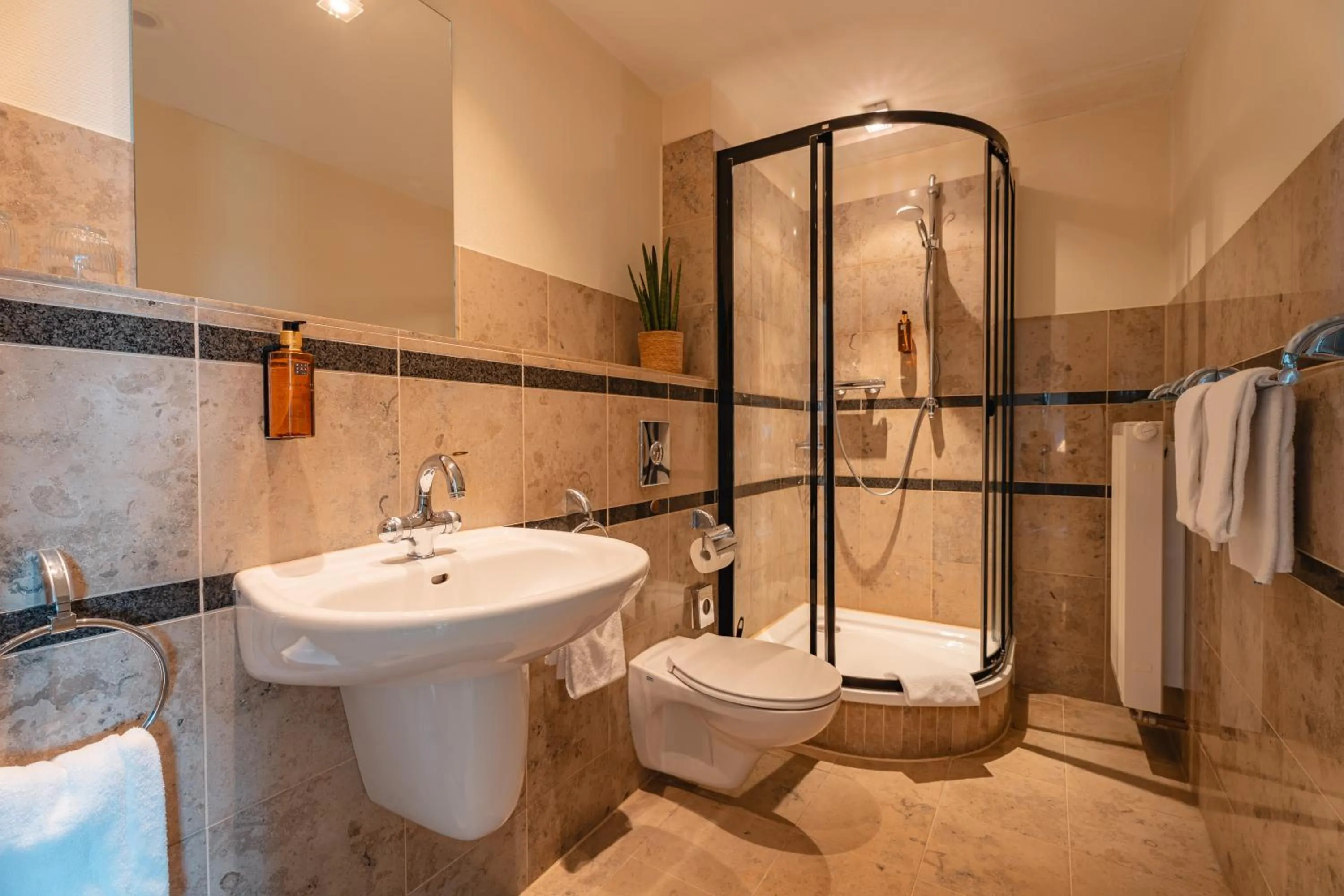 Bathroom in Naturhotel Sachsenbaude Oberwiesenthal - Indoor-Pool & Outdoor-Whirlpool