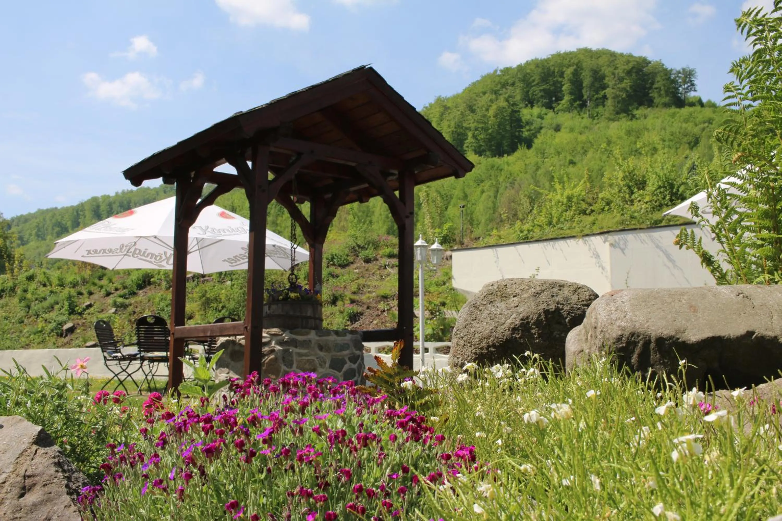 Garden in Solehotel Winterberg