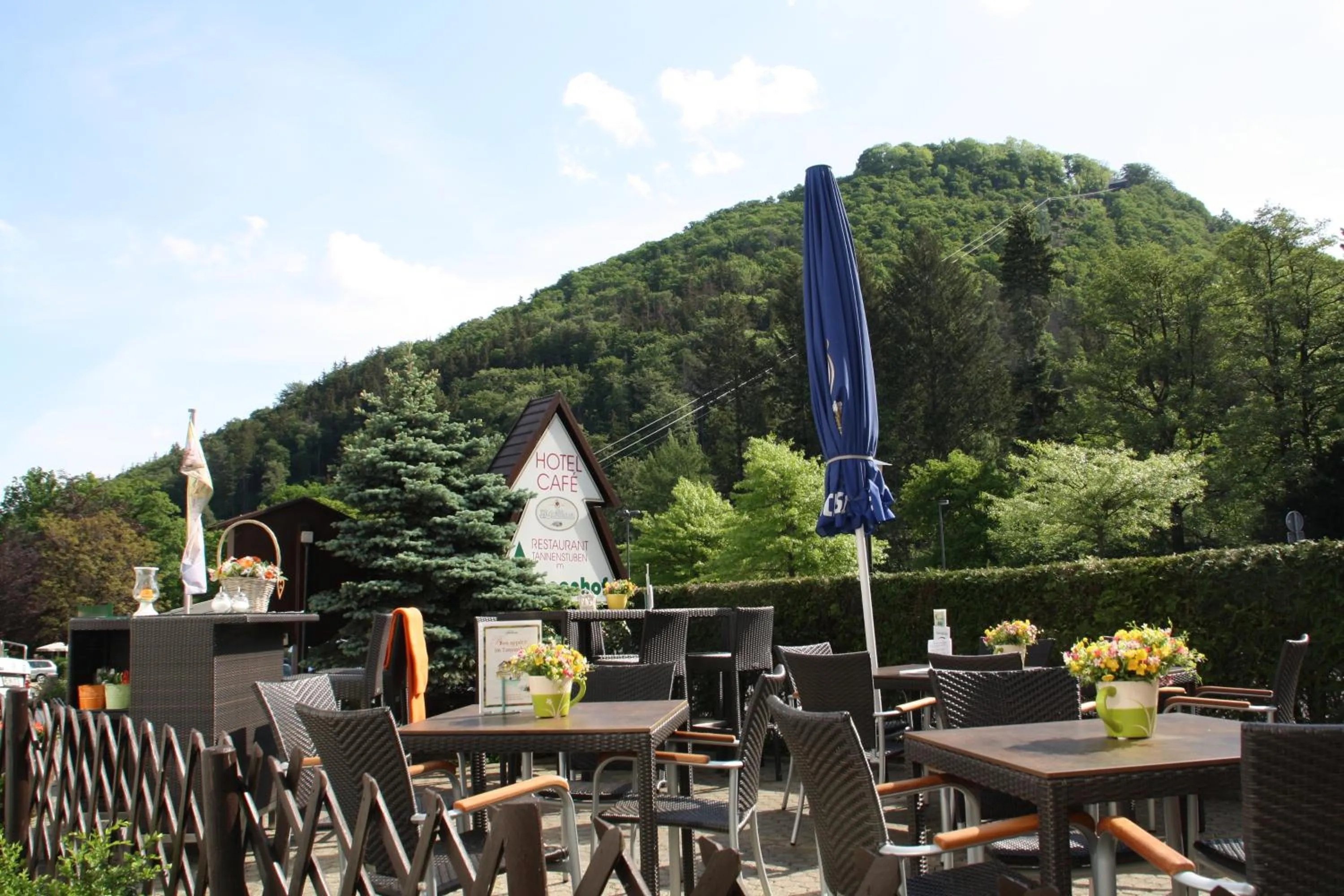 Balcony/Terrace in Solehotel Winterberg
